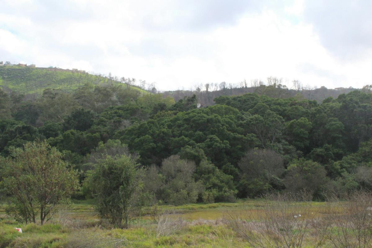 4.4 hectare Commercial Vacant Land For Sale Knysna Central