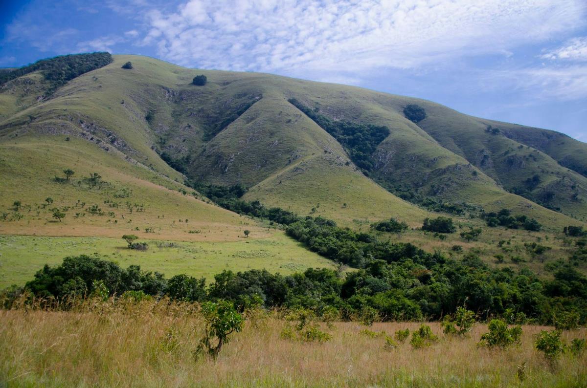 1 hectare Vacant Land For Sale Barberton 1NK1366291 Pam Golding