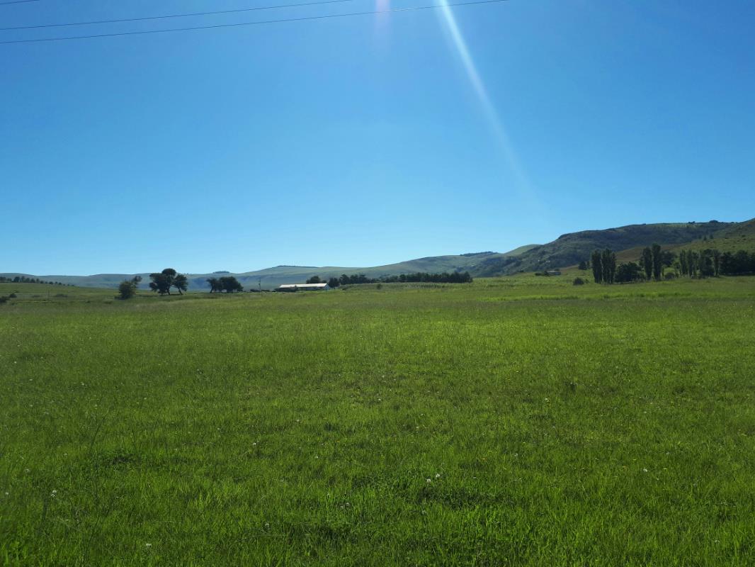 64.9 hectare Smallholding For Sale Kokstad 1UB1531523 Pam Golding