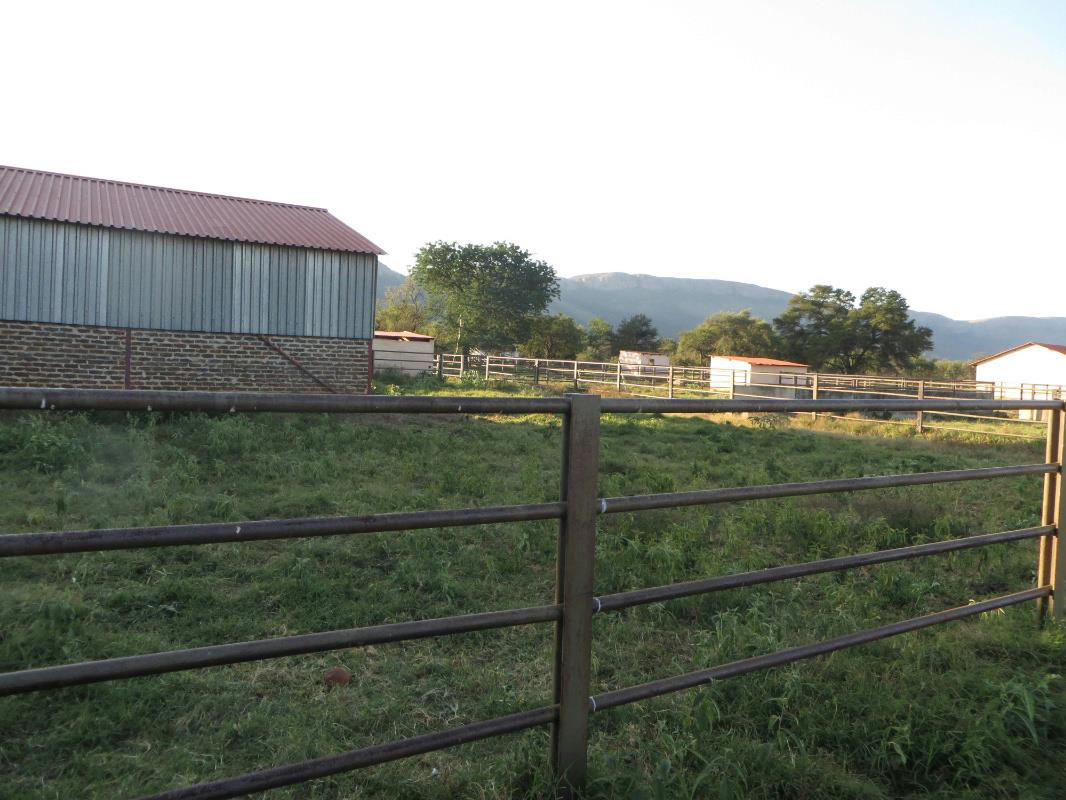 186.9 hectare Smallholding For Sale Skeerpoort