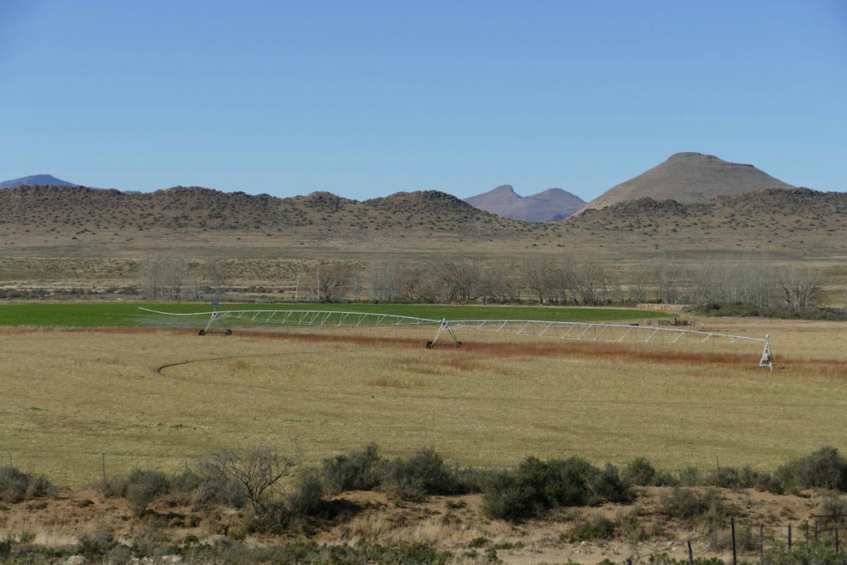 1463.81 hectare livestock farm for sale in Middelburg