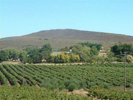 1348 hectare wine farm for sale in McGregor