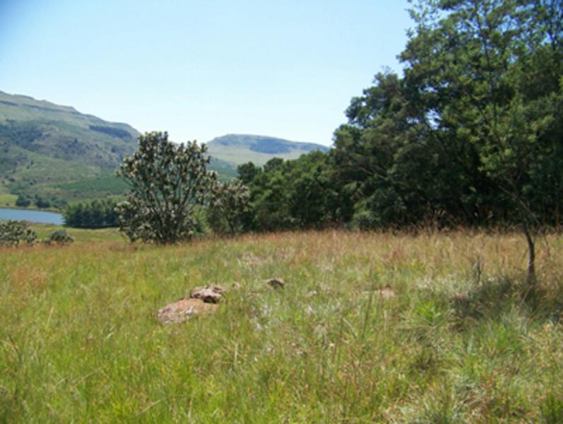 2000 m2 Farm Vacant Land For Sale Mooi River 1PM1138071 Pam