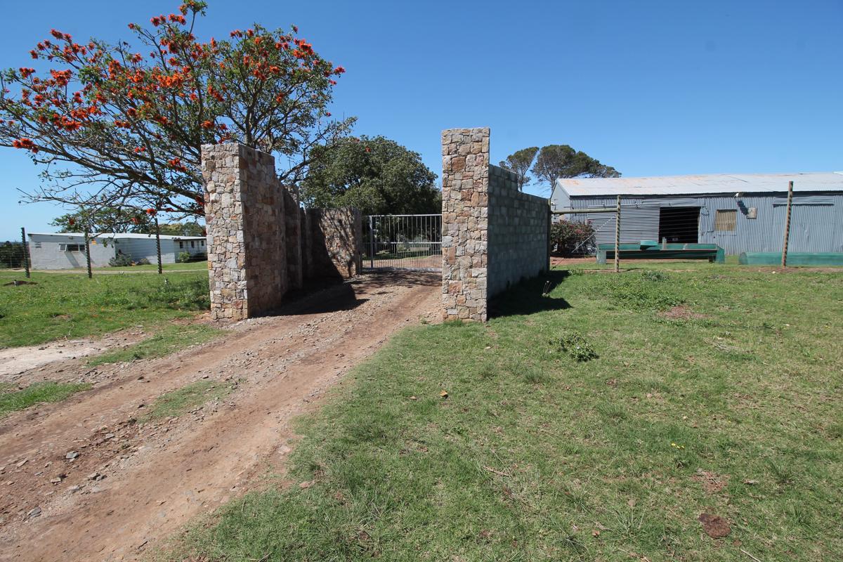 48 hectare livestock farm for sale in Bathurst