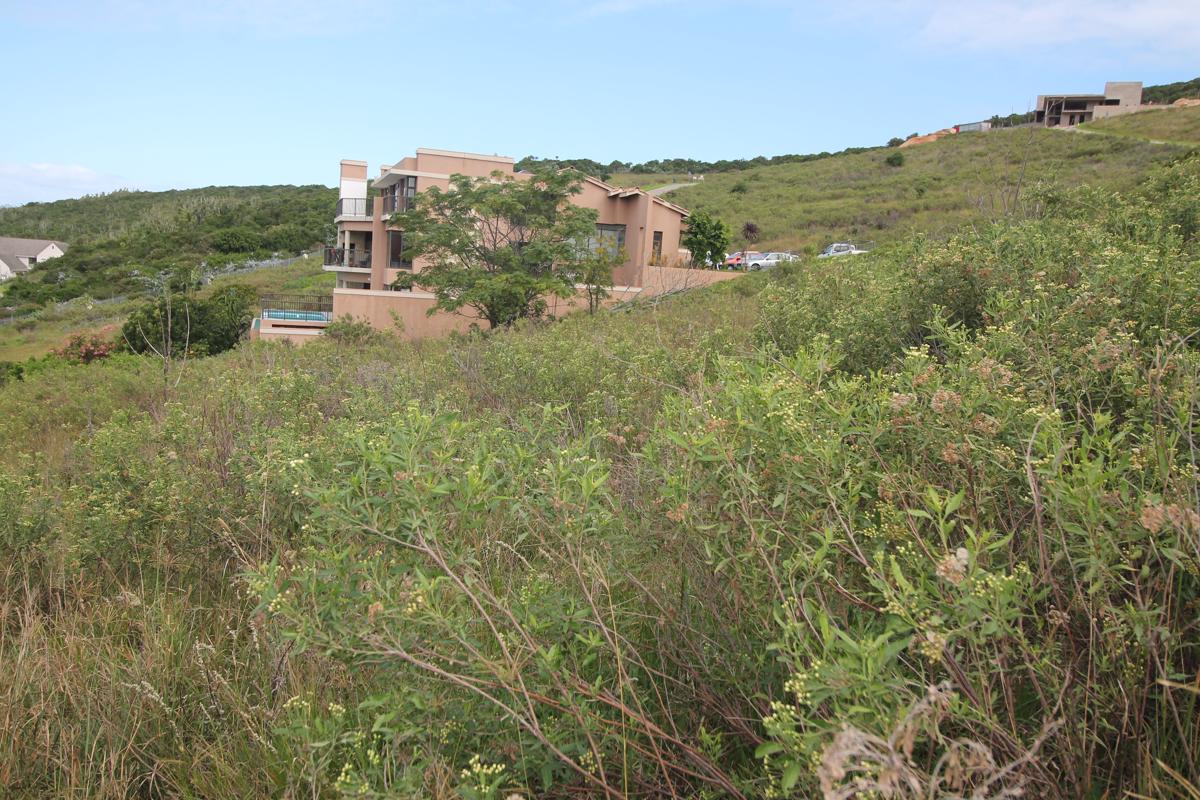 1243 m2 Vacant Land For Sale West Bank (Port Alfred) 1PF1370734