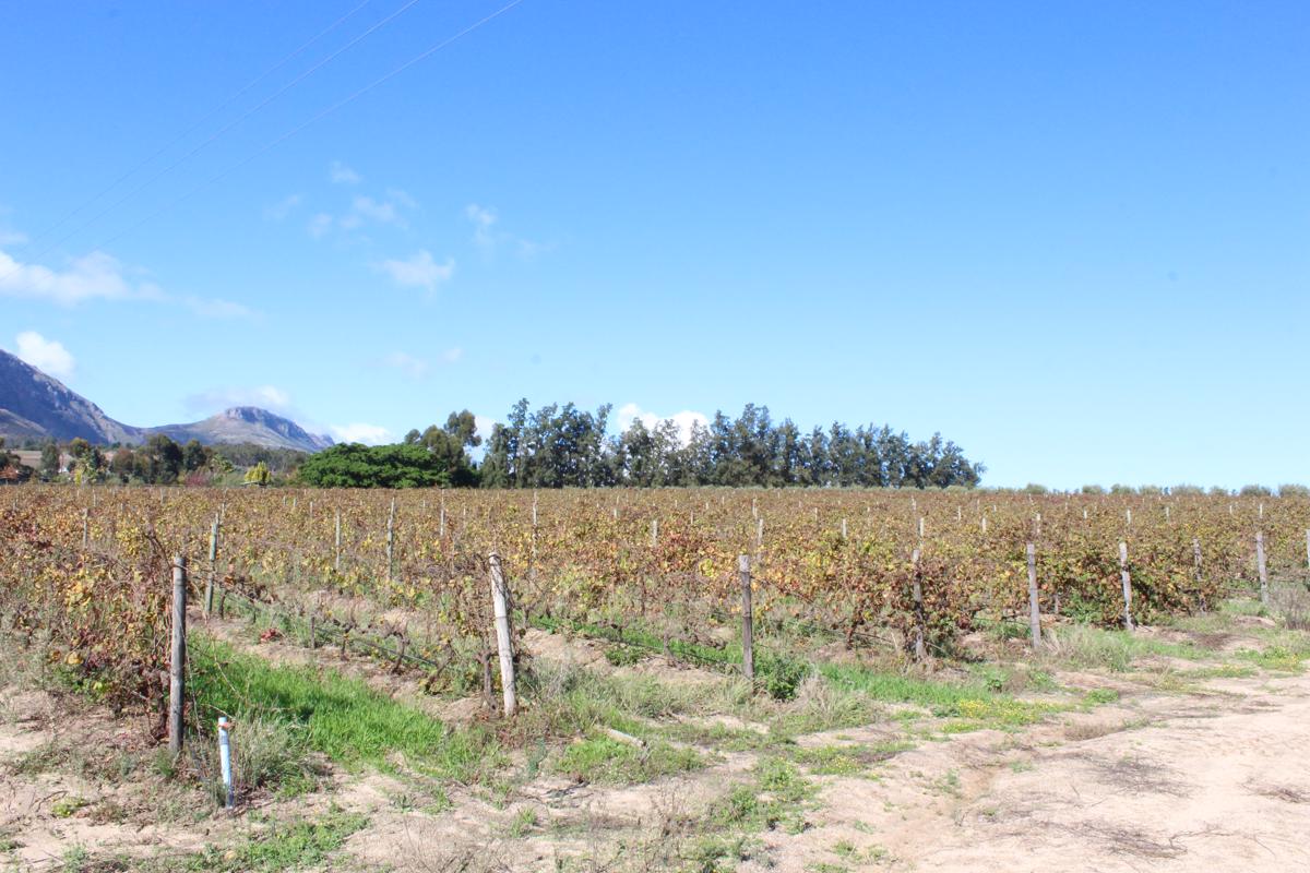 5.99 hectare Farm Vacant Land For Sale Wellington Rural TK1381811