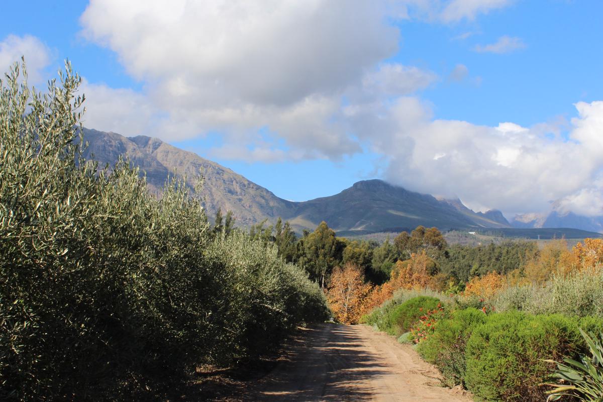 5.99 hectare Farm Vacant Land For Sale Wellington Rural TK1381811