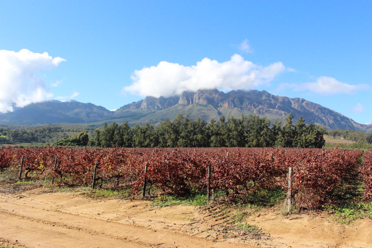 5.99 hectare Farm Vacant Land For Sale Wellington Rural TK1381811