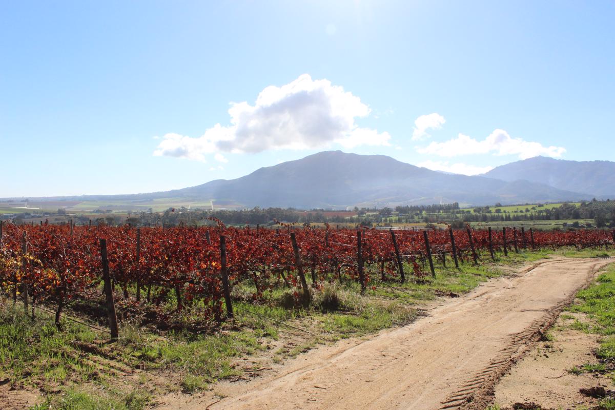 5.99 hectare Farm Vacant Land For Sale Wellington Rural TK1381811