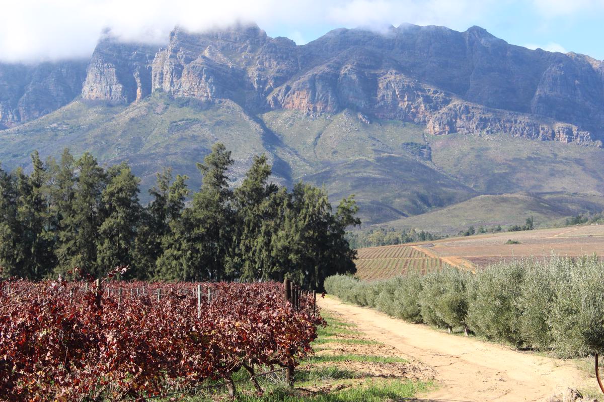 5.99 hectare Farm Vacant Land For Sale Wellington Rural TK1381811