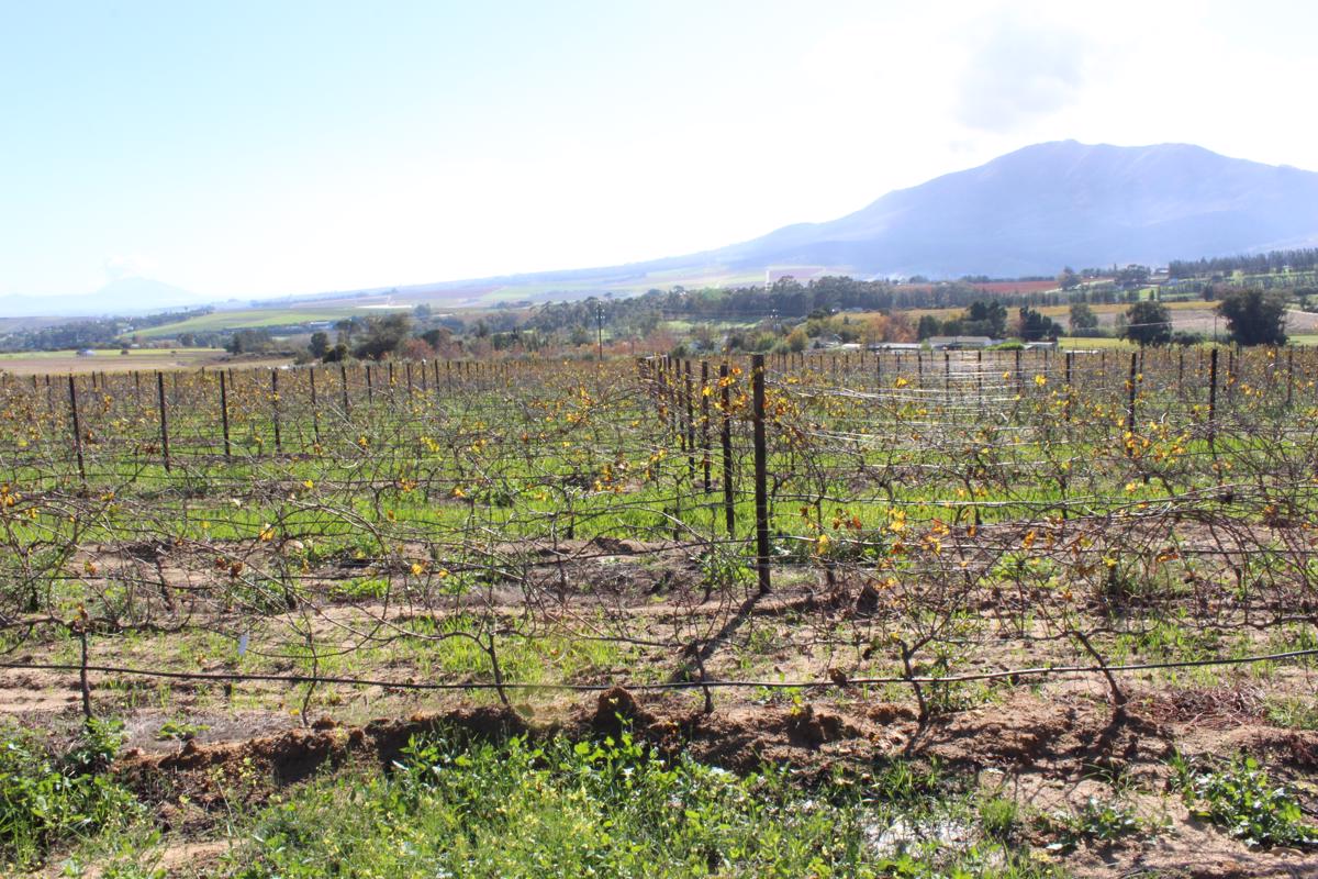 5.99 hectare Farm Vacant Land For Sale Wellington Rural TK1381811