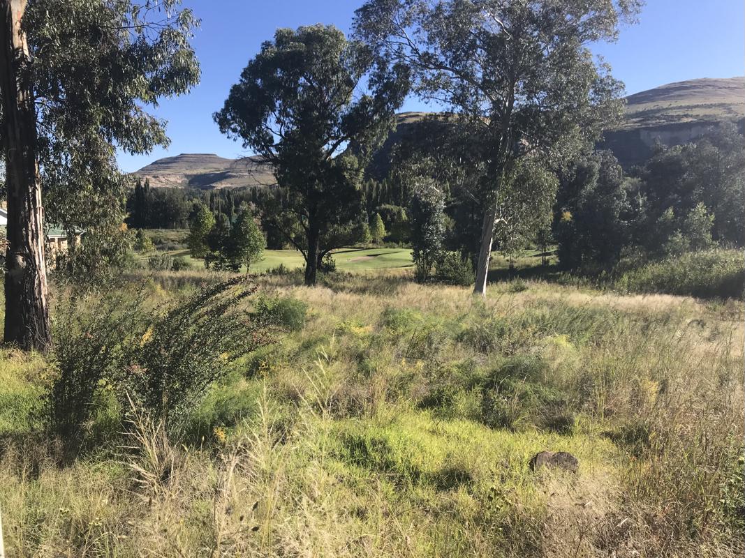 700 m2 Vacant Land For Sale | Clarens | 1CS1640171 | Pam Golding Properties