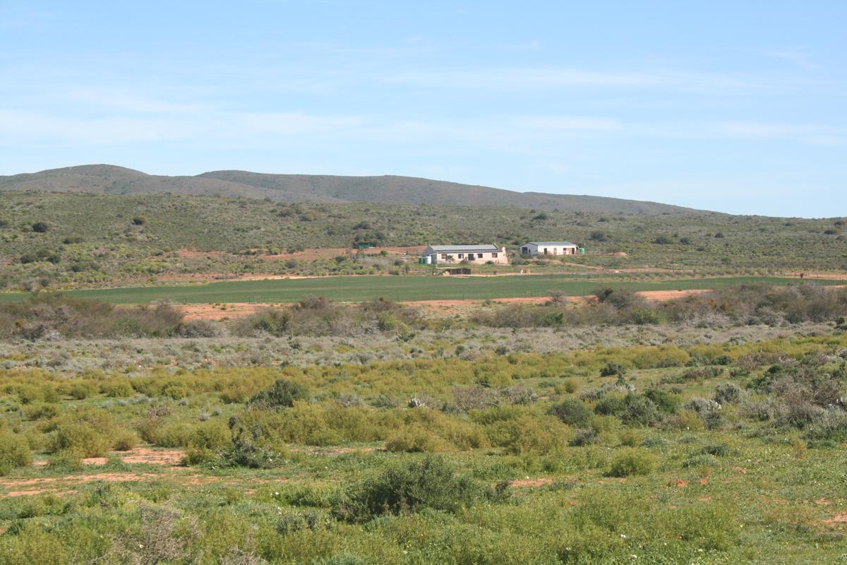 141.8 hectare Lifestyle Property For Sale Robertson Rural TK1394818