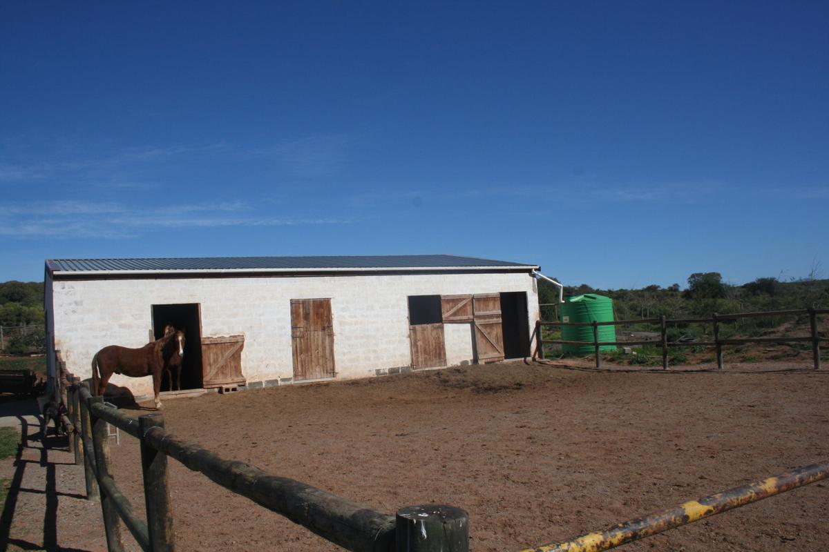 141.8 hectare Lifestyle Property For Sale Robertson Rural TK1394818