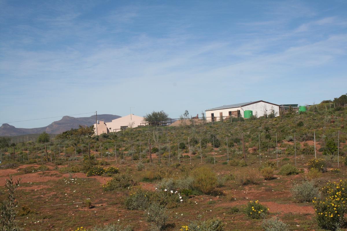 141.8 hectare Lifestyle Property For Sale Robertson Rural TK1394818