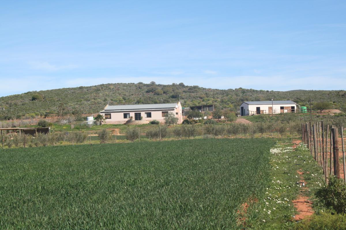 141.8 hectare Lifestyle Property For Sale Robertson Rural TK1394818