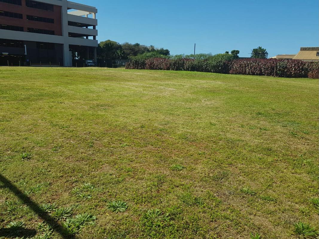 4000 m&sup2; vacant land for sale in New Town Centre