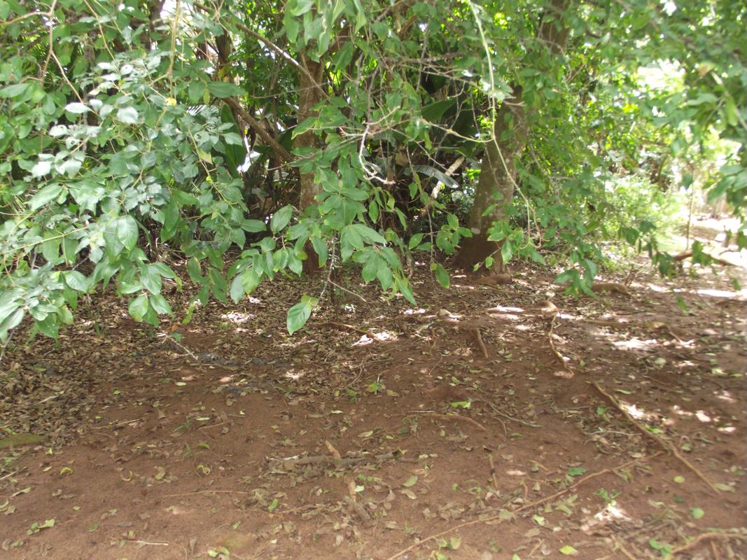 1463 m&sup2; vacant land for sale in Marina Beach