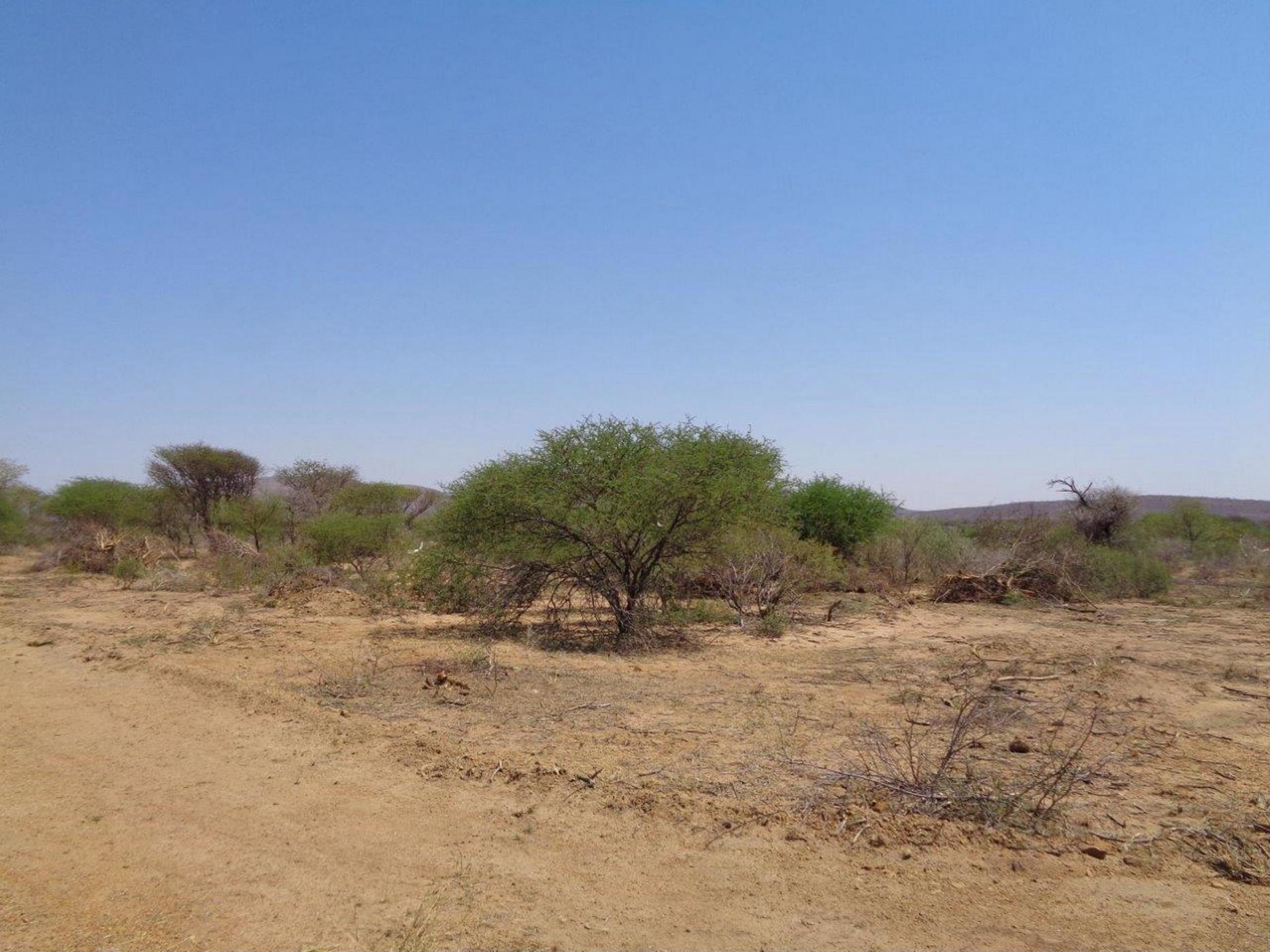 6 hectare Vacant Land For Sale Lion Park (Botswana) 3BO1406077