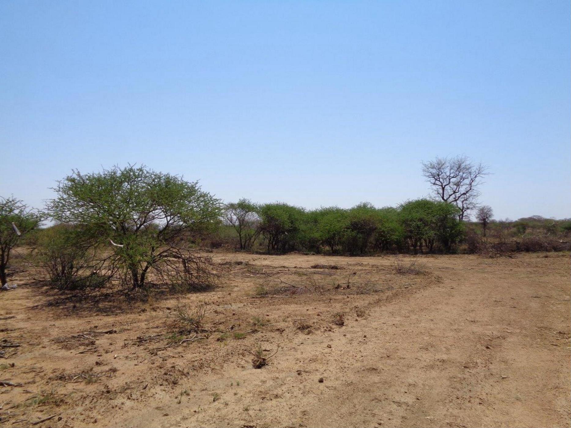 6 hectare Vacant Land For Sale Lion Park (Botswana) 3BO1406077