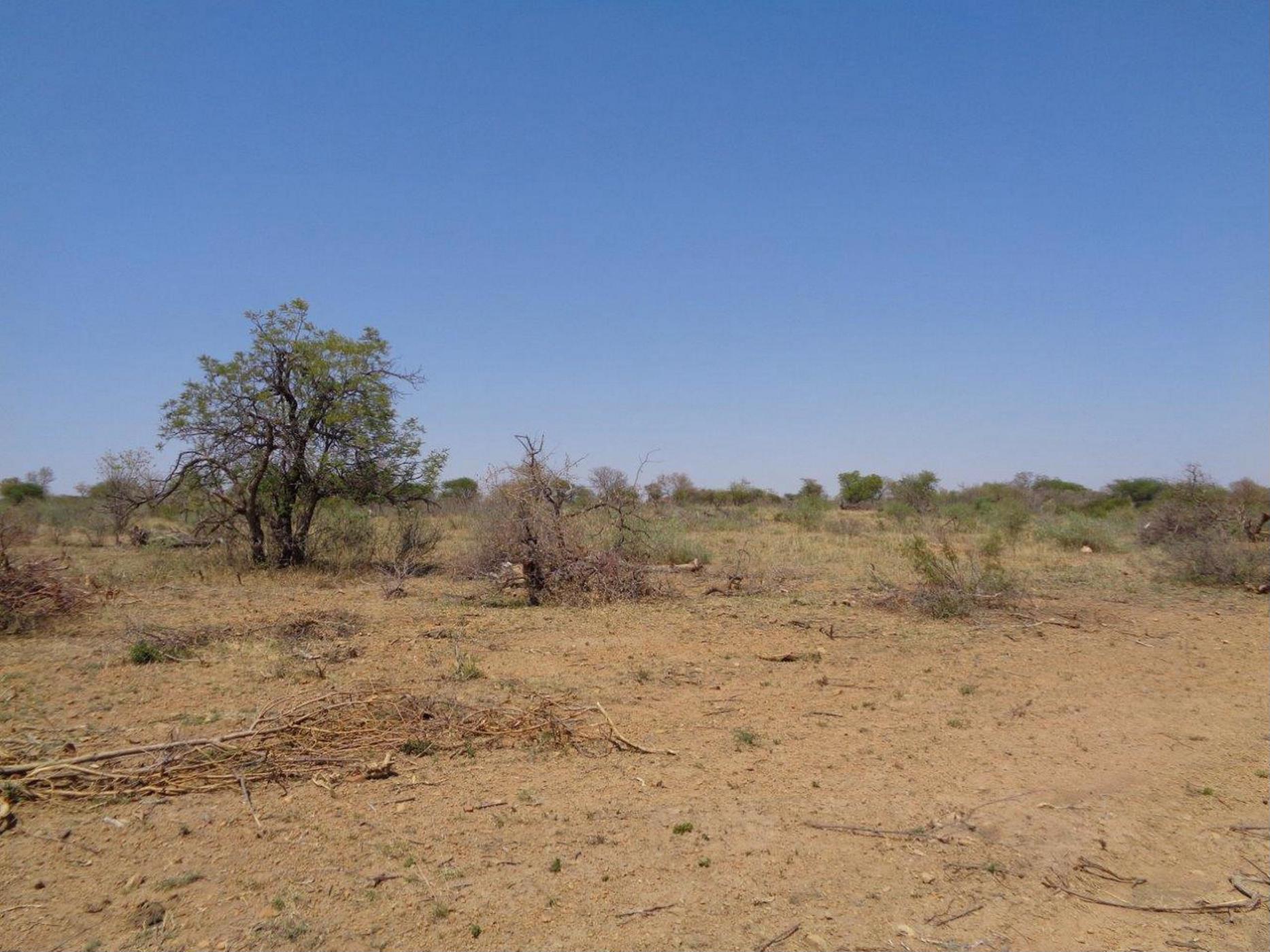 6 hectare Vacant Land For Sale Lion Park (Botswana) 3BO1406077