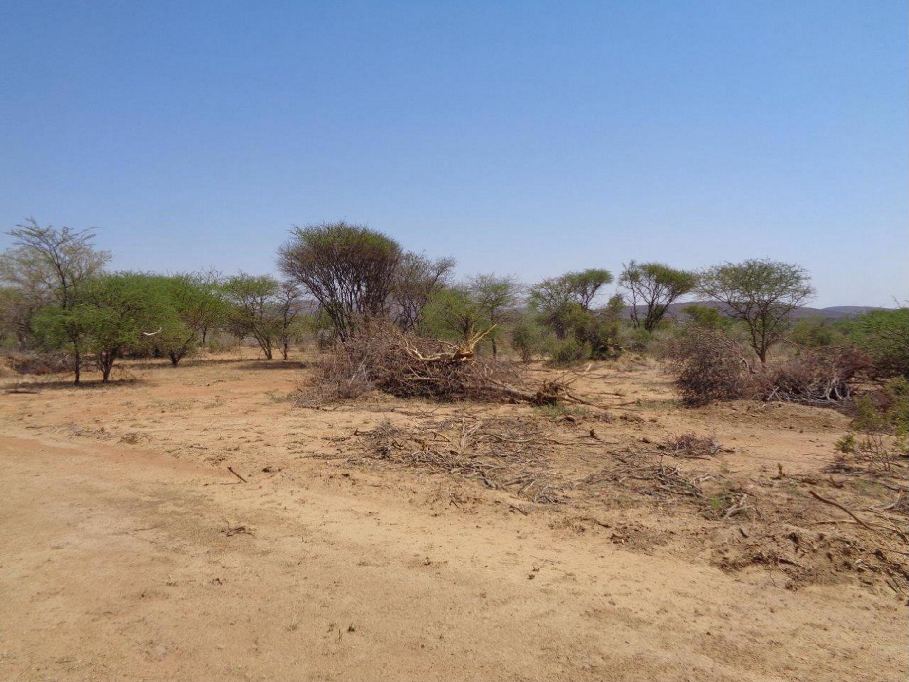 6 hectare Vacant Land For Sale Lion Park (Botswana) 3BO1406077