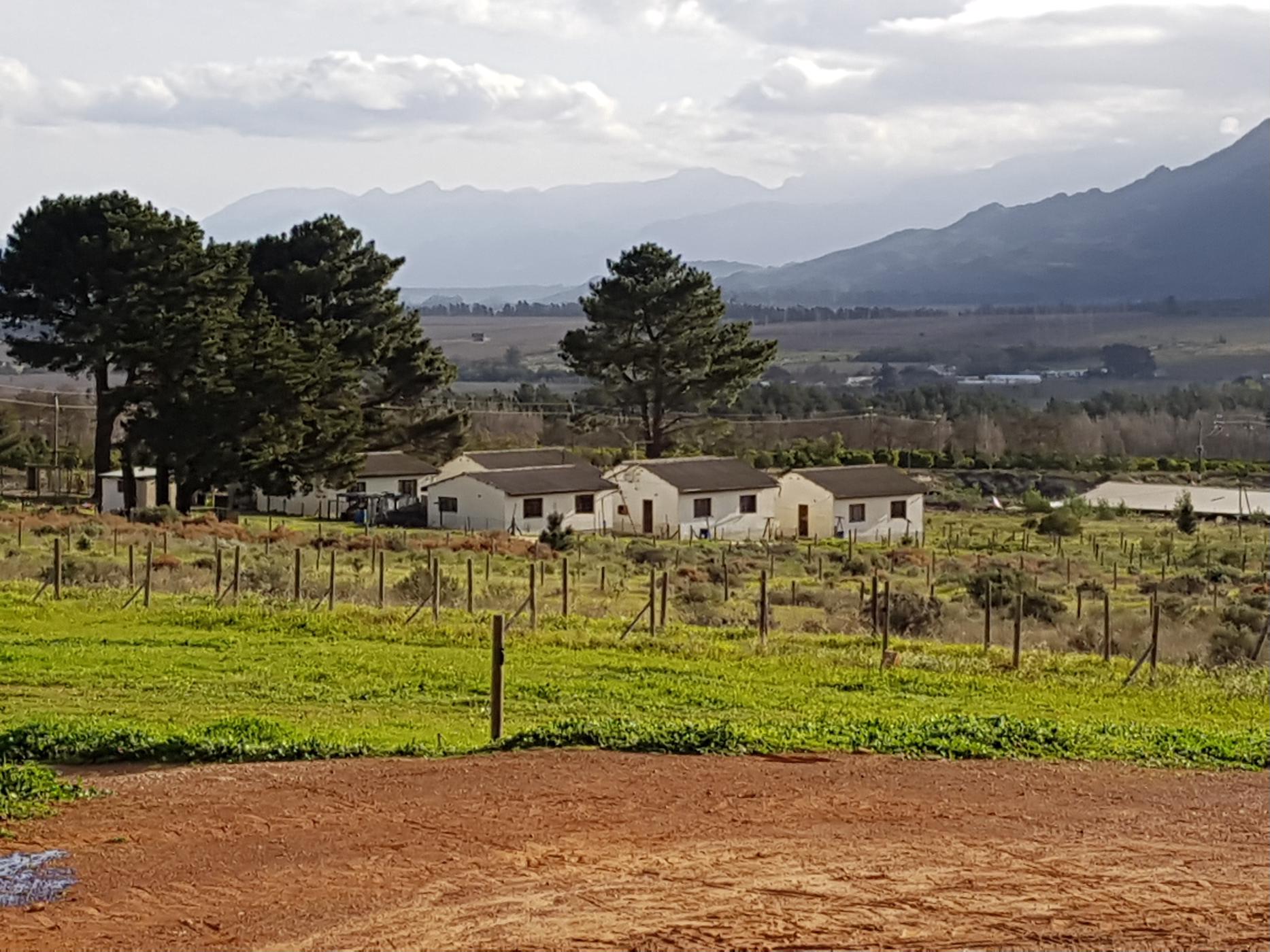 308.43 hectare Fruit Farm For Sale | Villiersdorp | EG1434489 | Pam ...