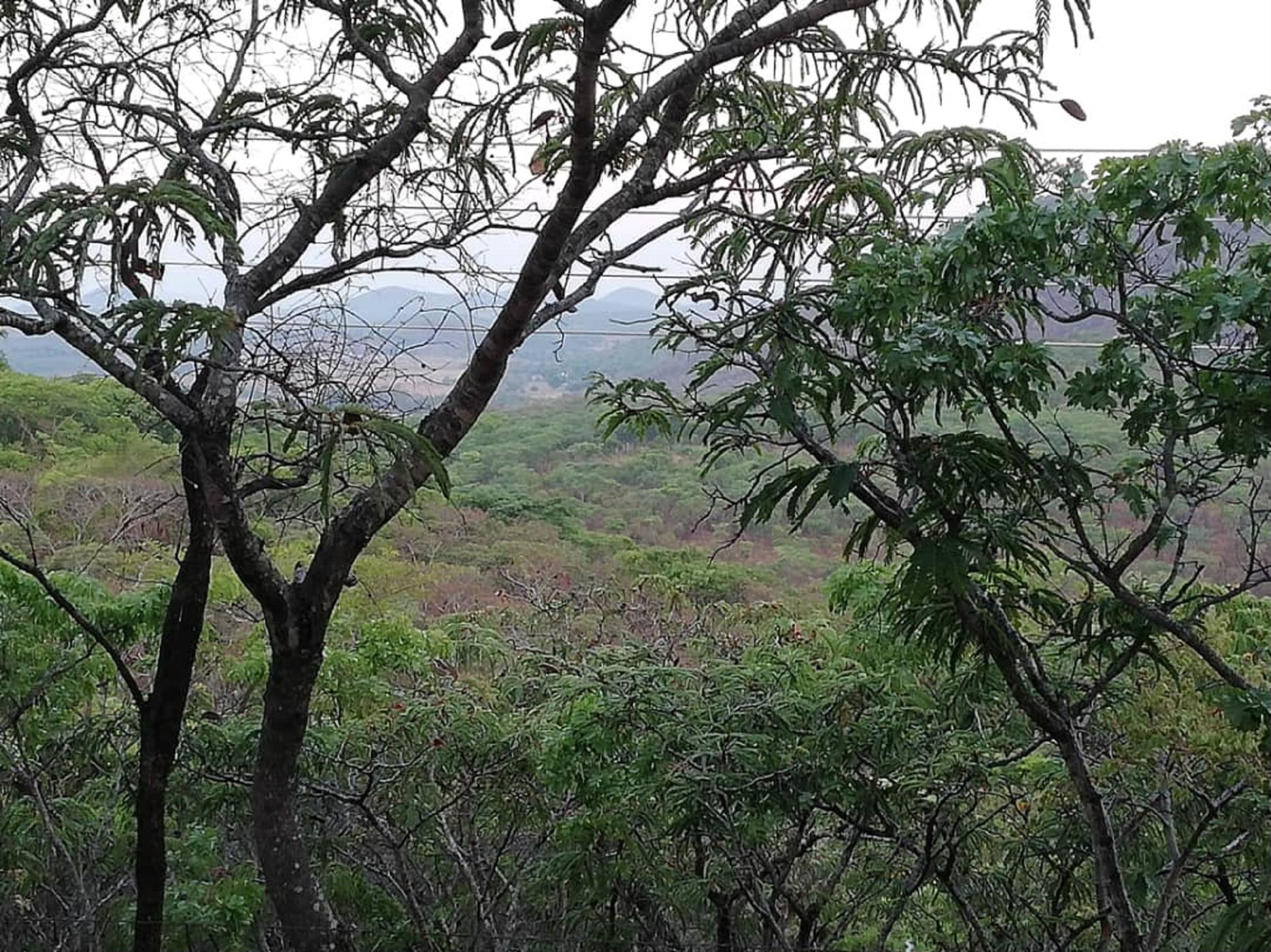 4.96 hectare Vacant Land For Sale Mashonaland East (Zimbabwe