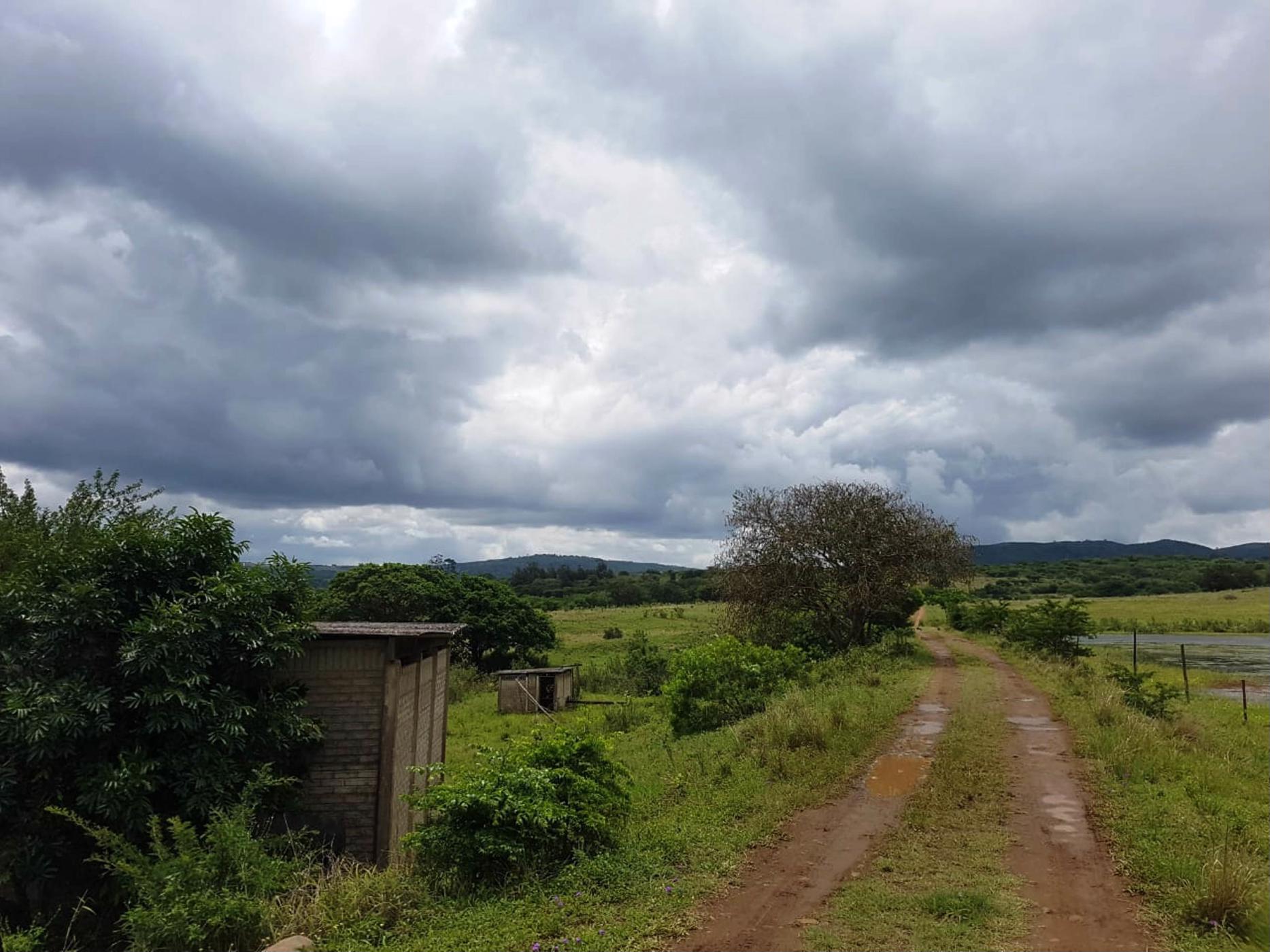 1144916 m2 Farm Vacant Land For Sale Empangeni 1RY1406873 Pam