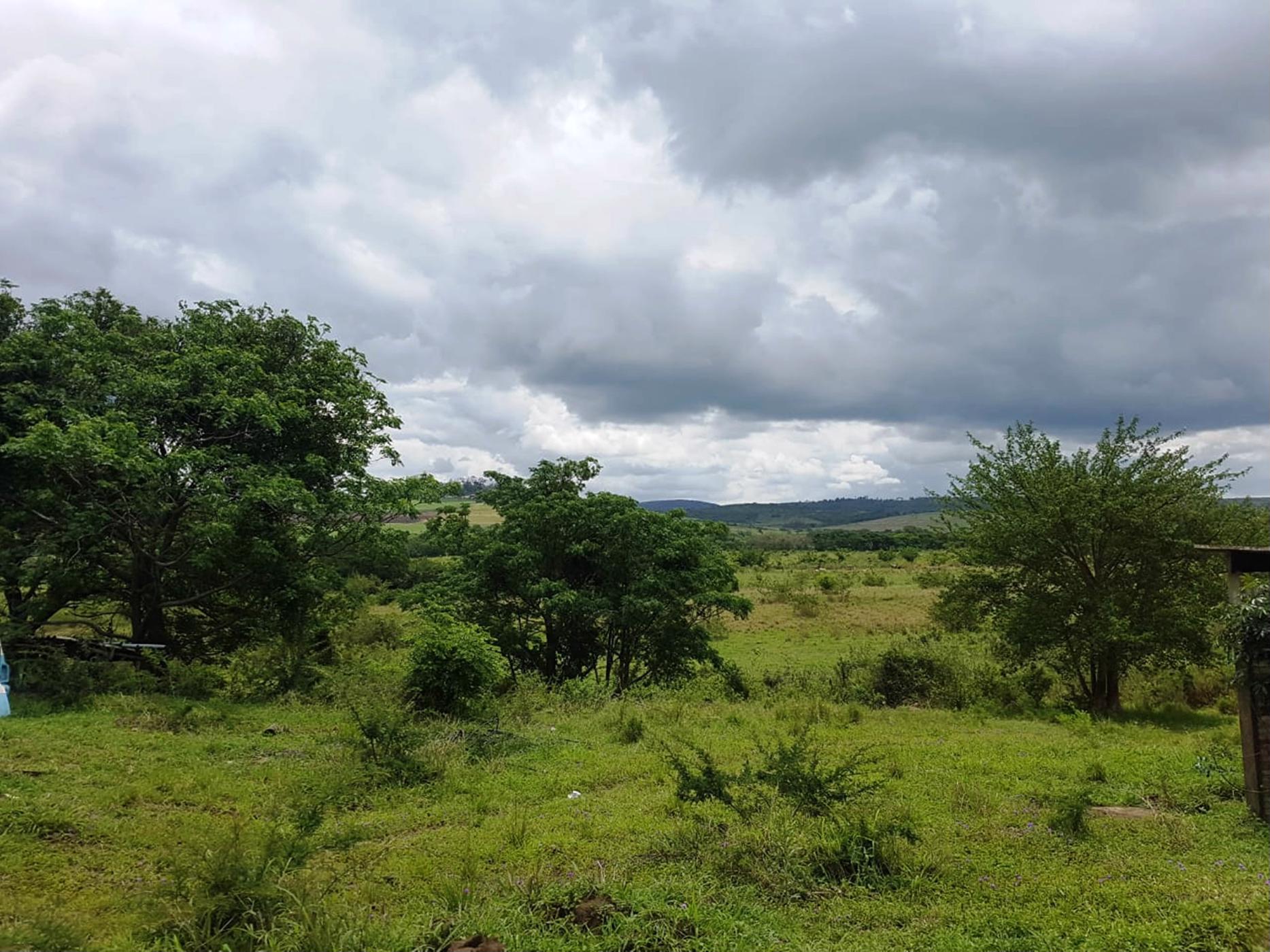 1144916 m2 Farm Vacant Land For Sale Empangeni 1RY1406873 Pam