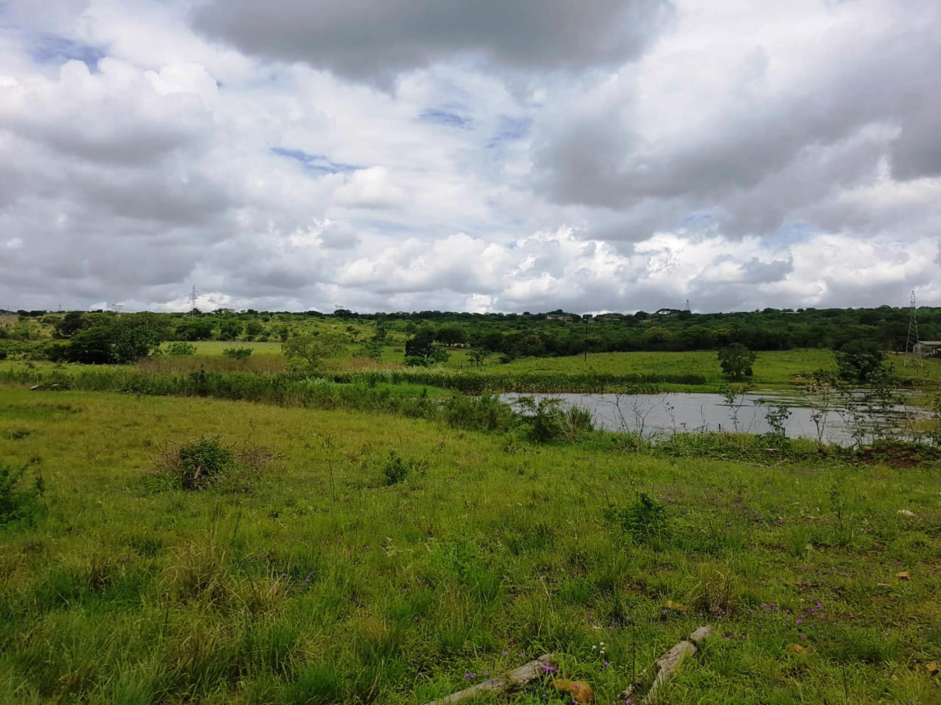 1144916 m2 Farm Vacant Land For Sale Empangeni 1RY1406873 Pam