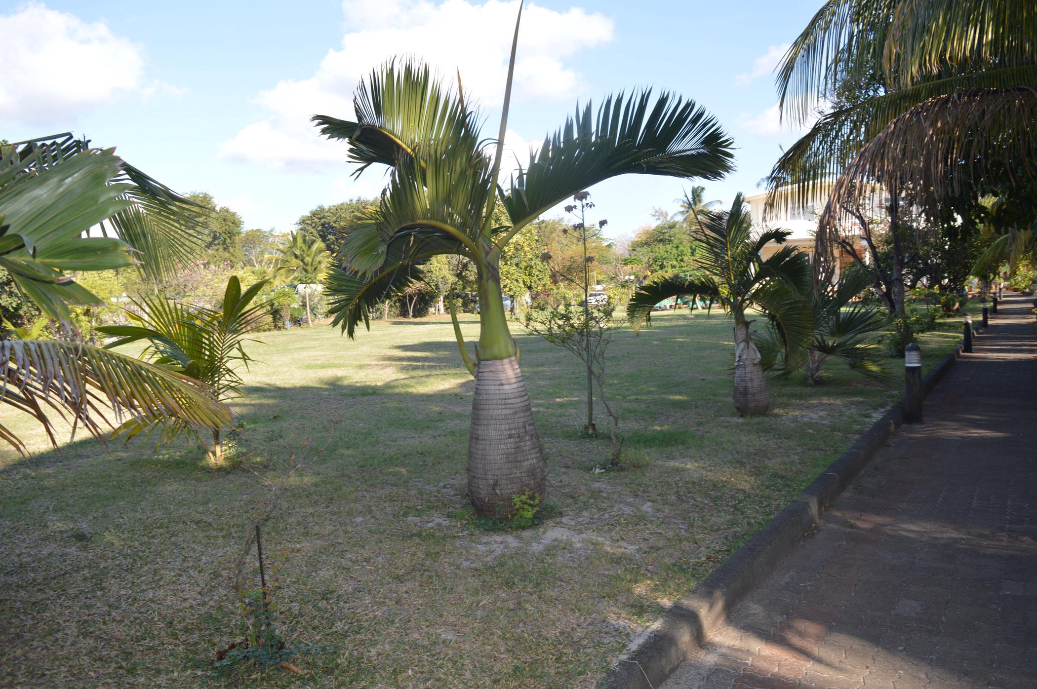 16780 m2 Vacant Land For Sale Pointe aux Sables (Mauritius) MUR1409327 Pam Golding Properties