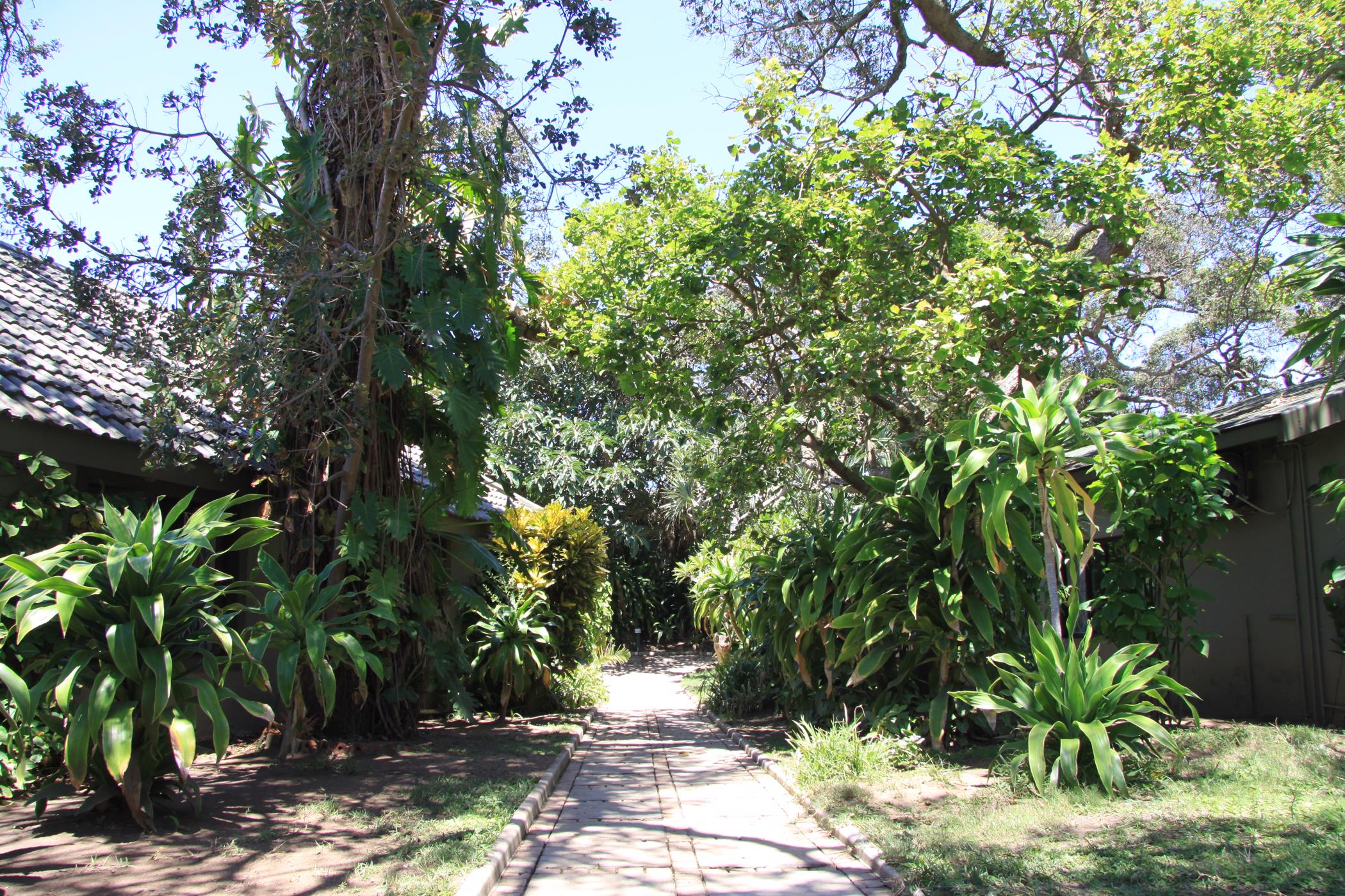 21 Guest Room Beach Resort For Sale Shelly Beach 1PX1410898 Pam