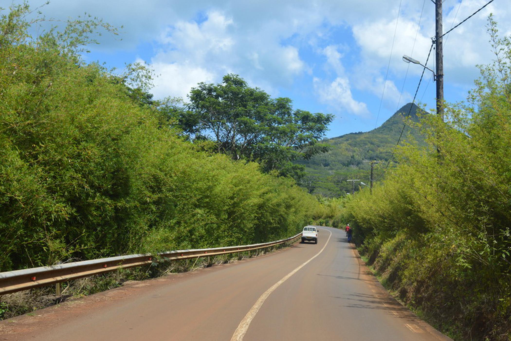 5294 m2 Vacant Land For Sale Chamarel (Mauritius) MUR1411910 Pam