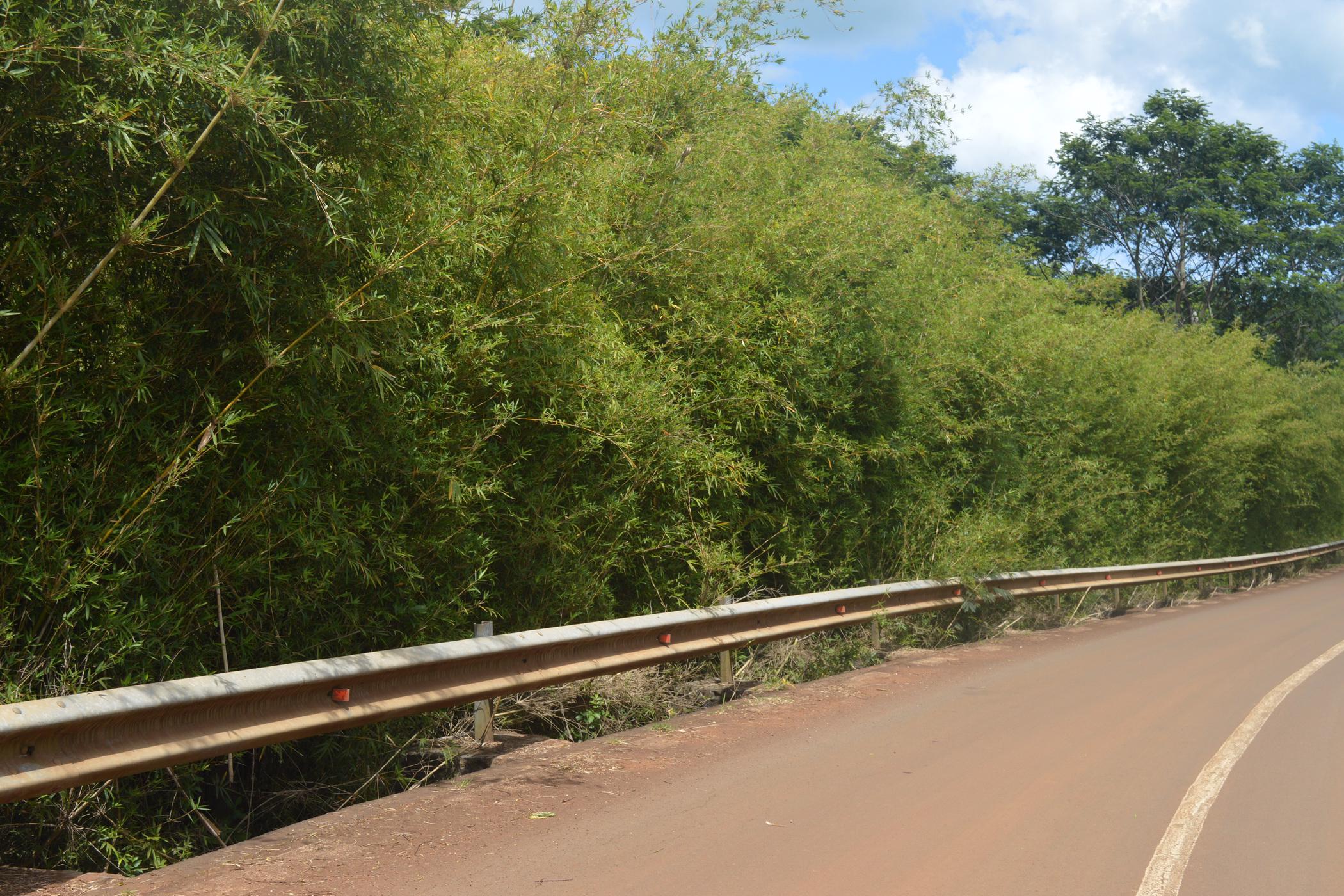 5294 m2 Vacant Land For Sale Chamarel (Mauritius) MUR1411910 Pam