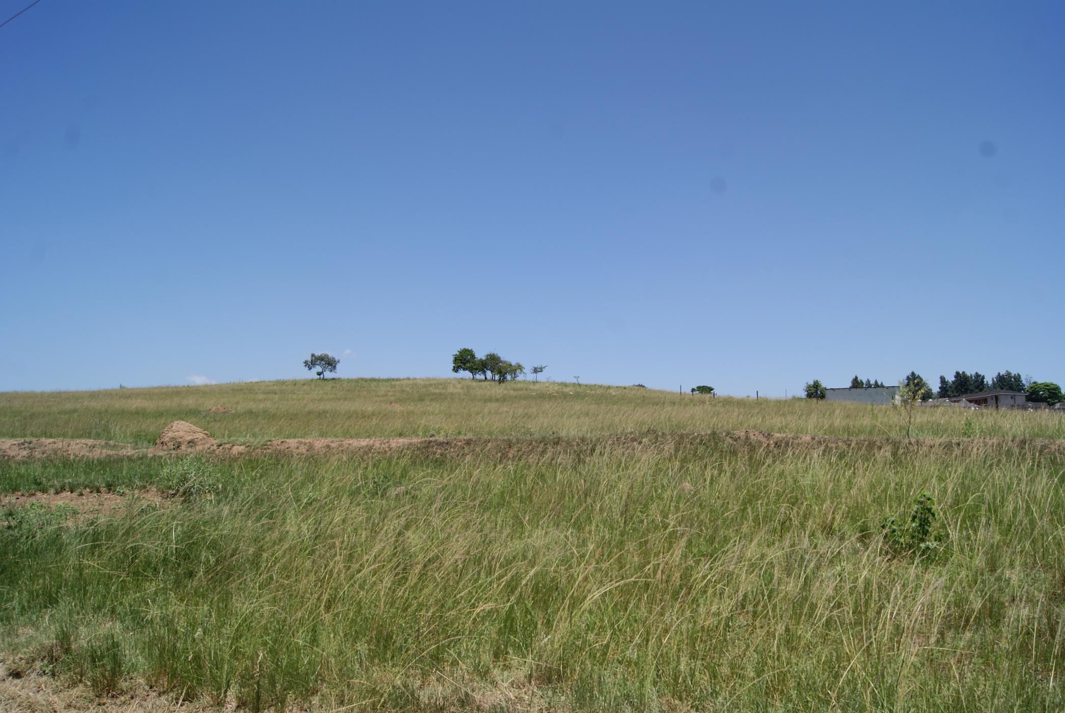 3 hectare Vacant Land For Sale Manzini (Swaziland) 3SZ1417524 Pam