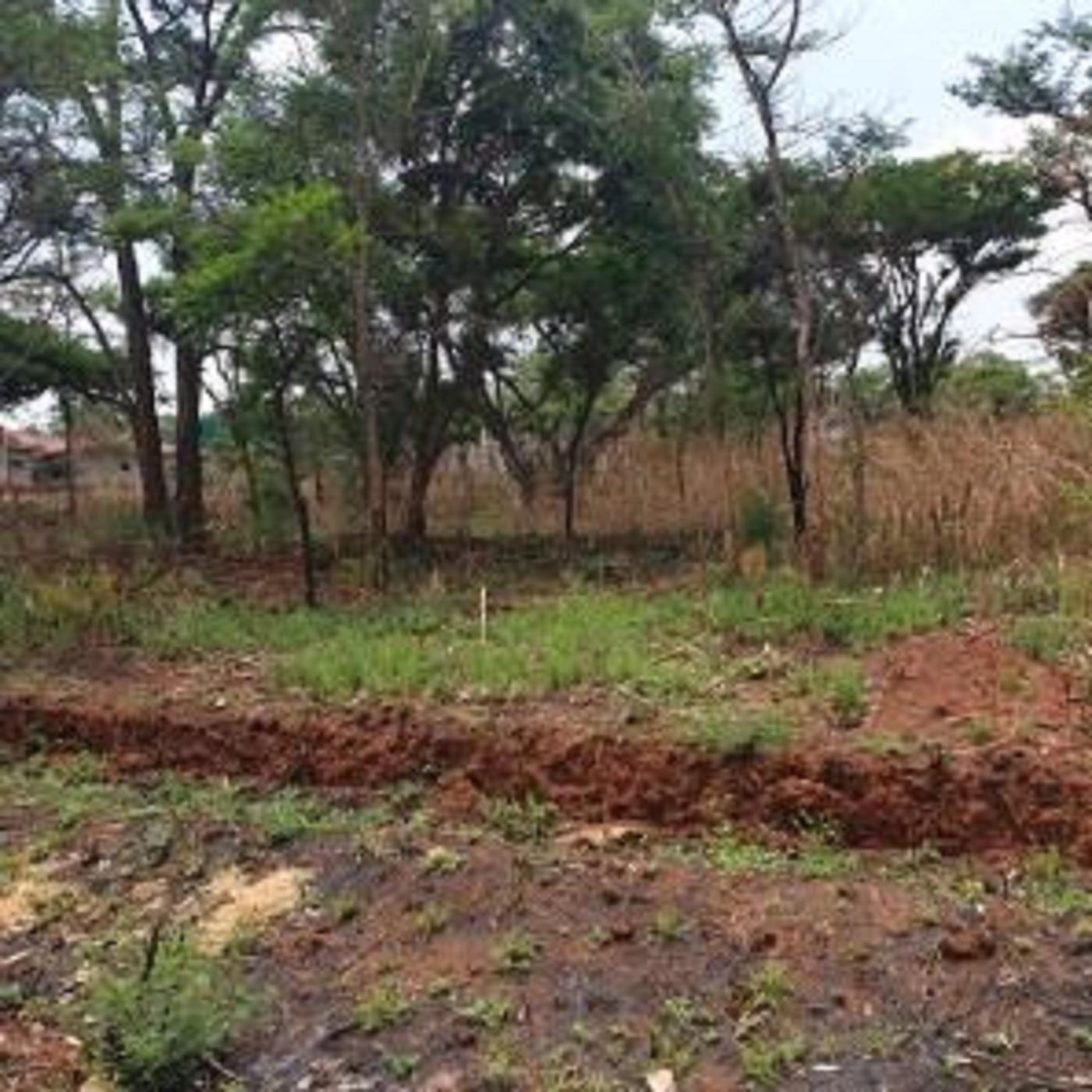 4000 m2 Vacant Land For Sale Borrowdale (Zimbabwe) 3ZB1418834 Pam
