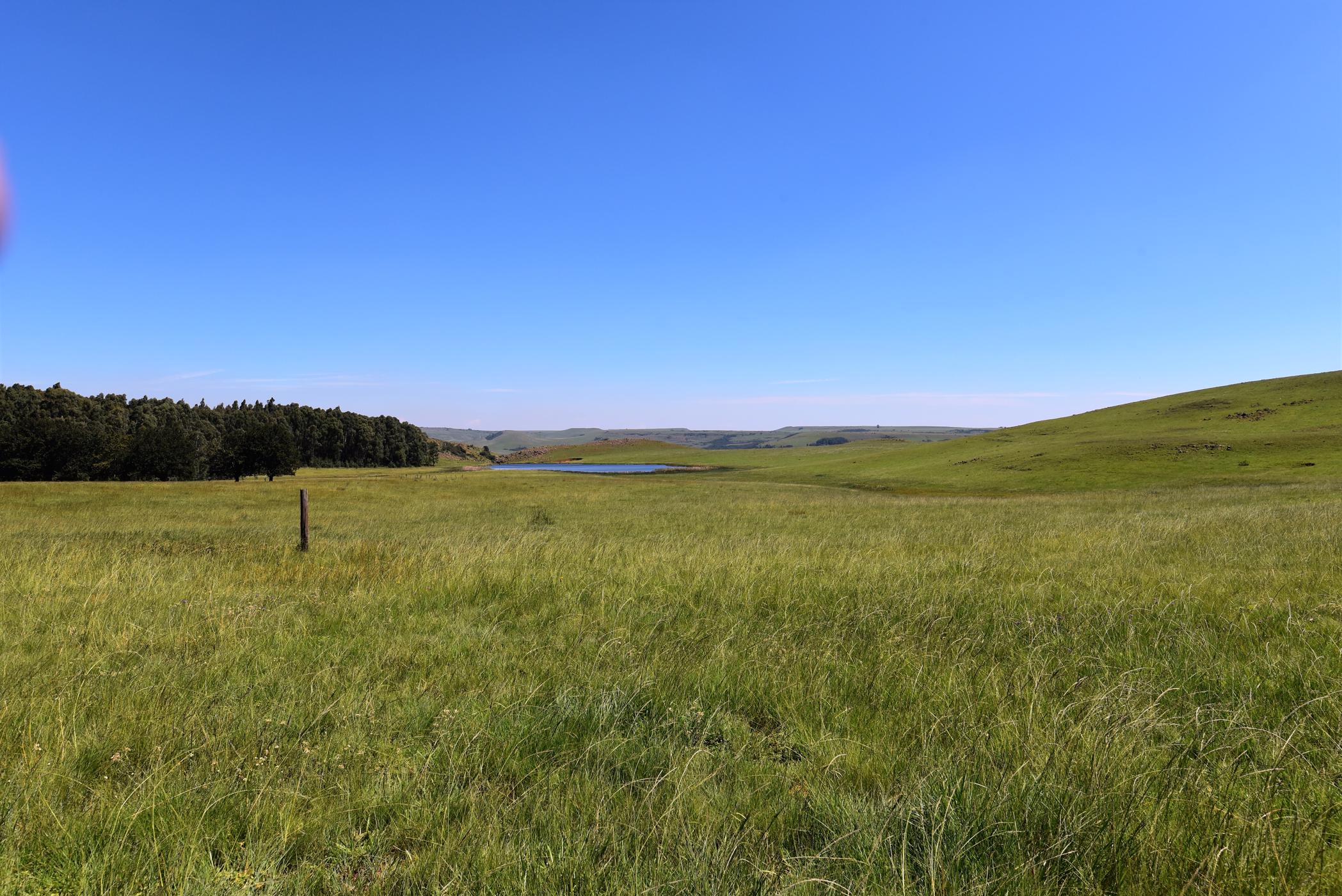 572 hectare mixed use farm for sale in Ermelo