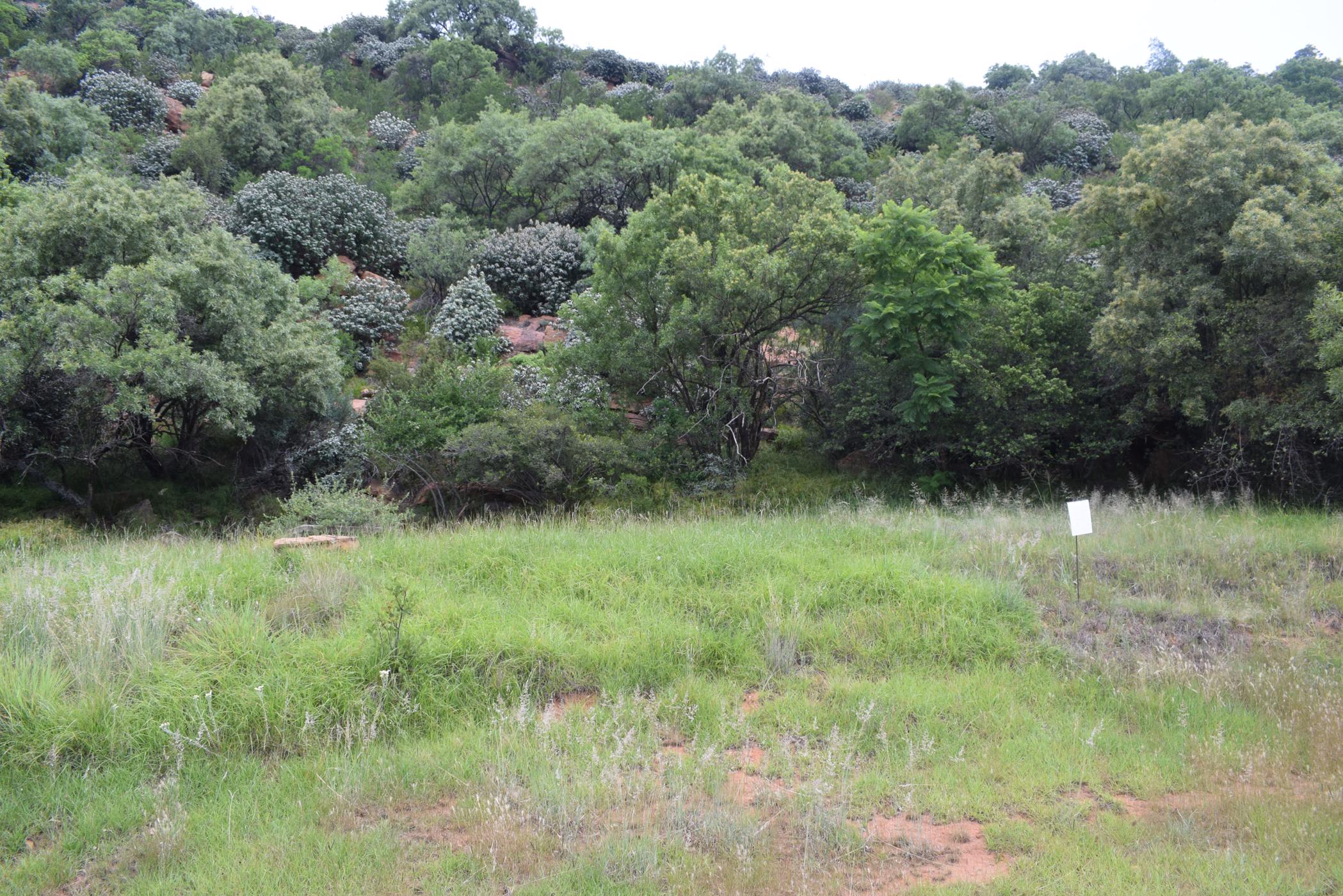 897 M2 Vacant Land For Sale 