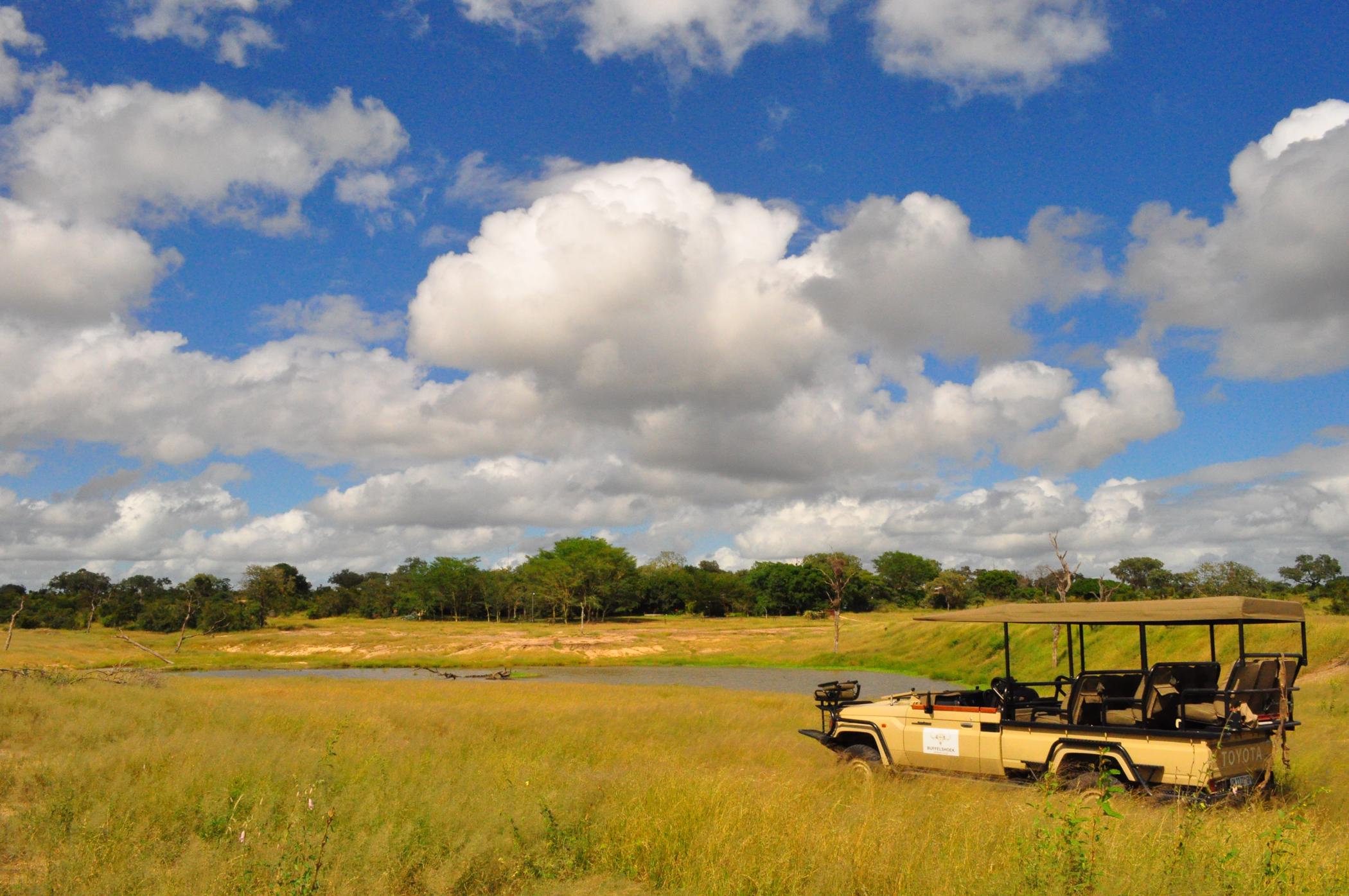 Mpumalanga Farms For Sale Pam Golding Properties