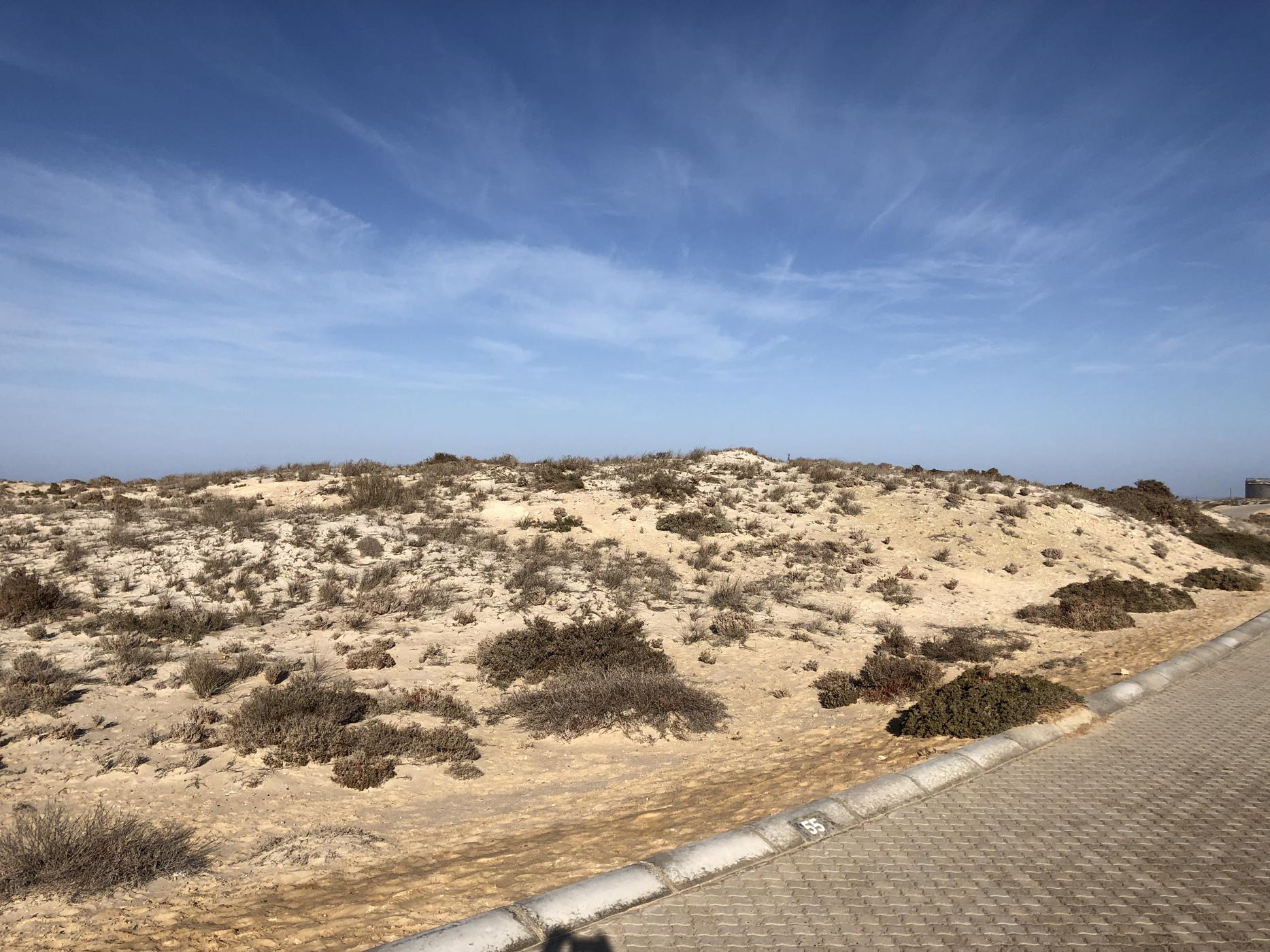 965 m2 Vacant Land For Sale Port Nolloth 1NA1438559 Pam Golding Properties