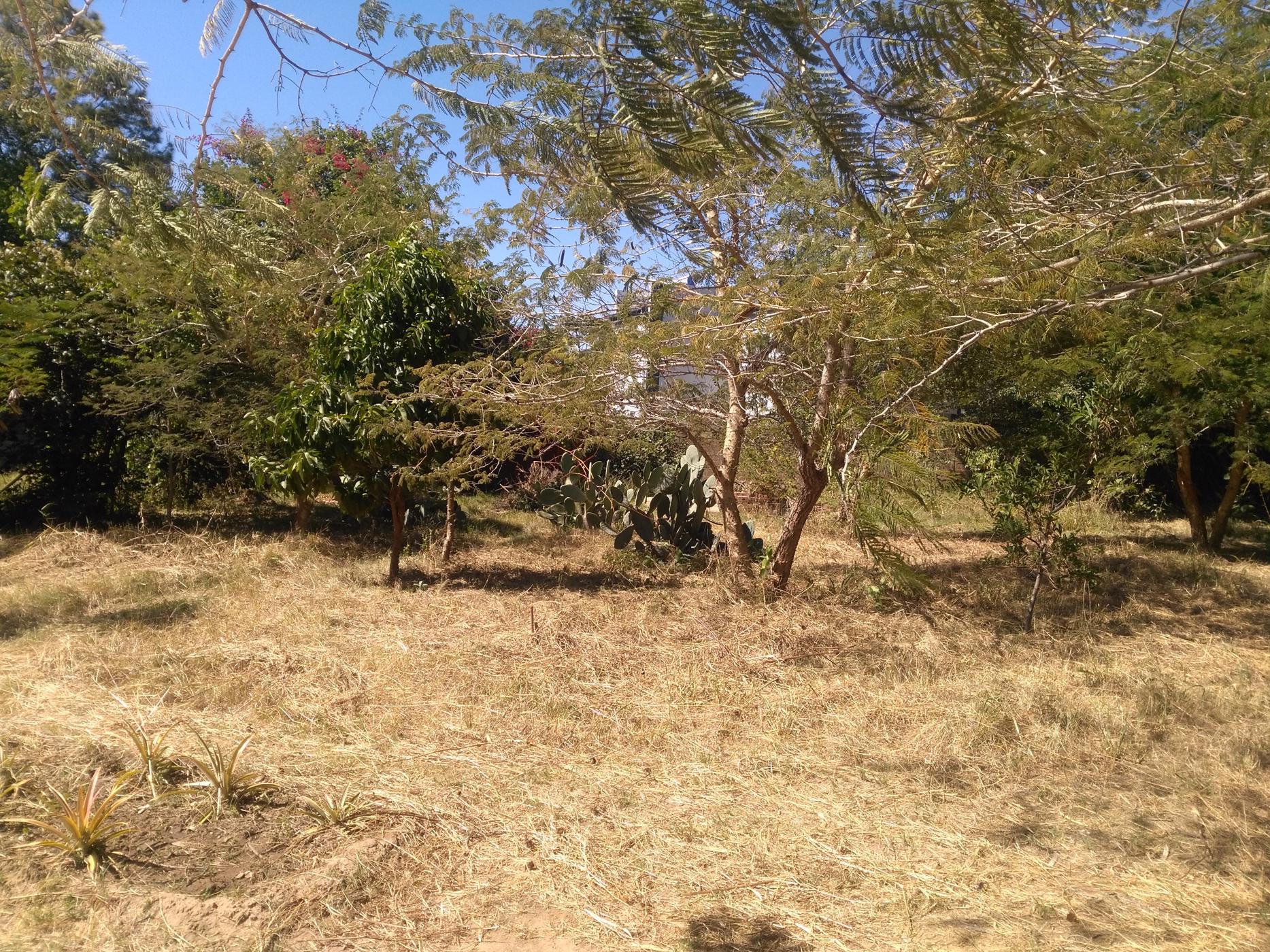 4045 m&sup2; residential vacant land for sale in Ibex Hill (Zambia)