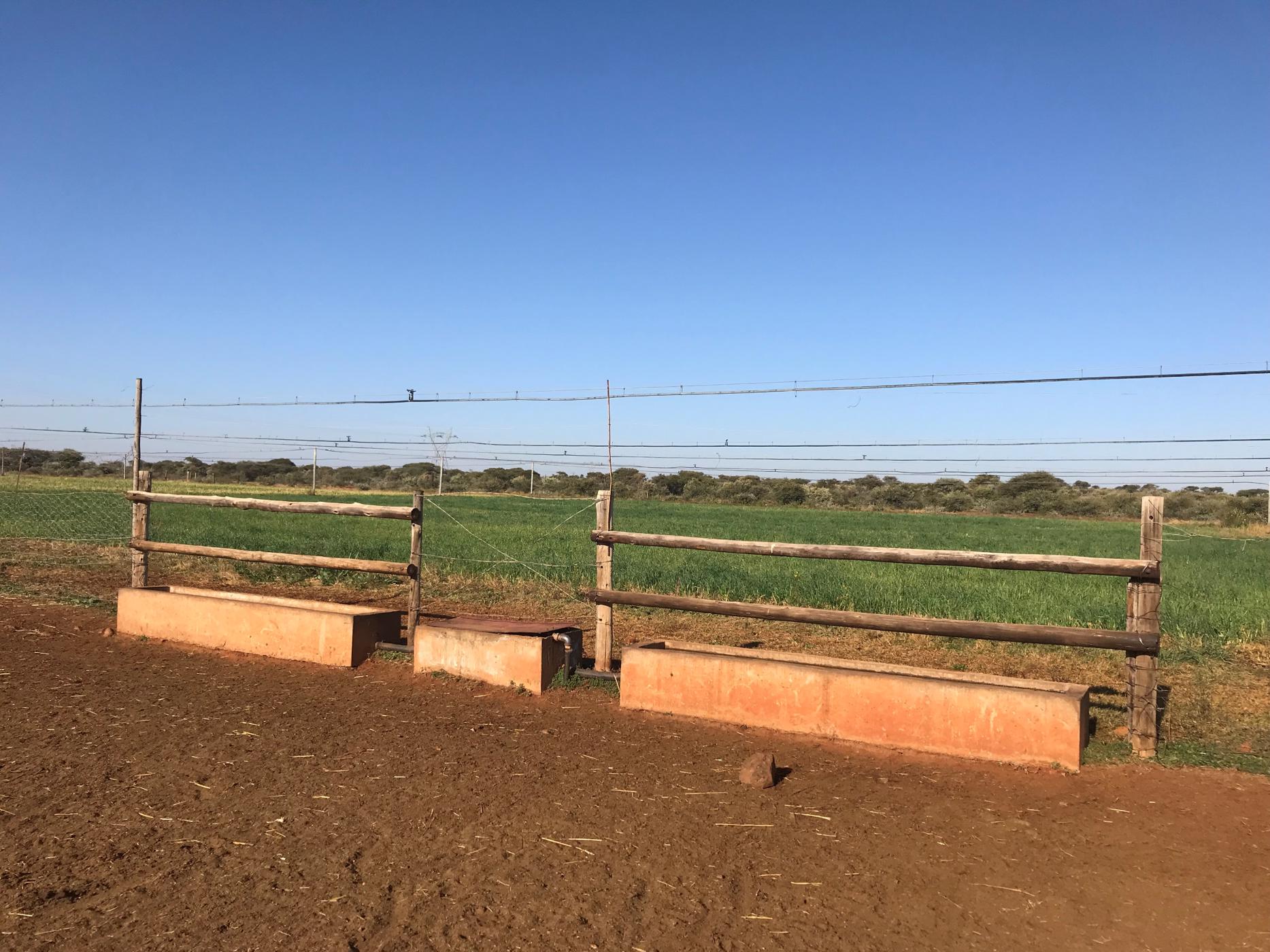 1125 hectare Mixed Use Farm For Sale Warrenton 1RN1441839 Pam