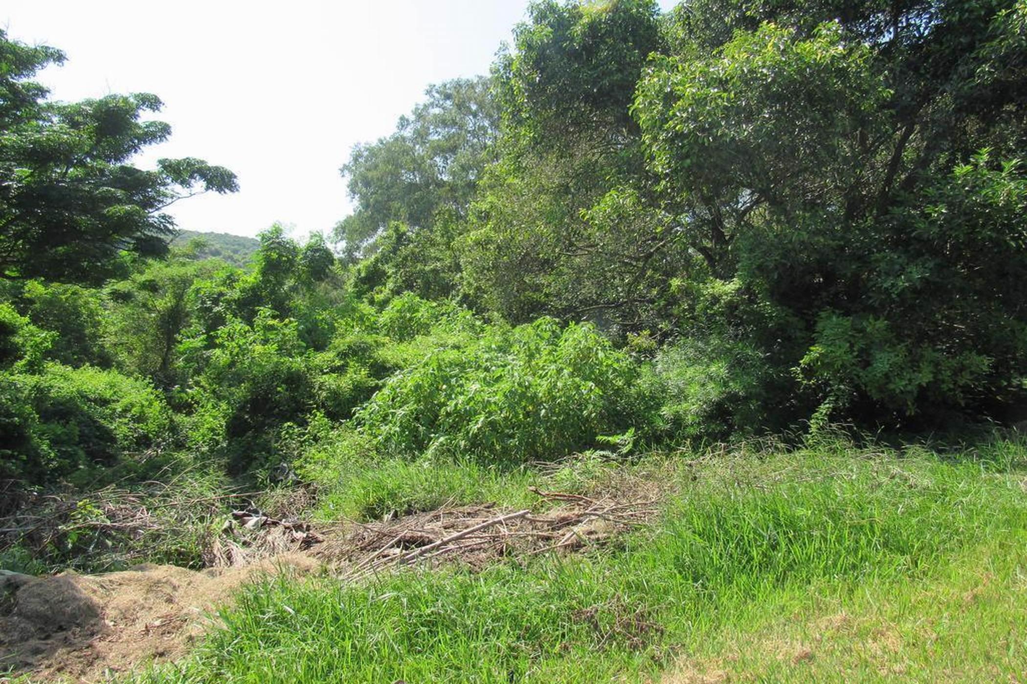 98156 m&sup2; vacant land for sale in Doon Heights