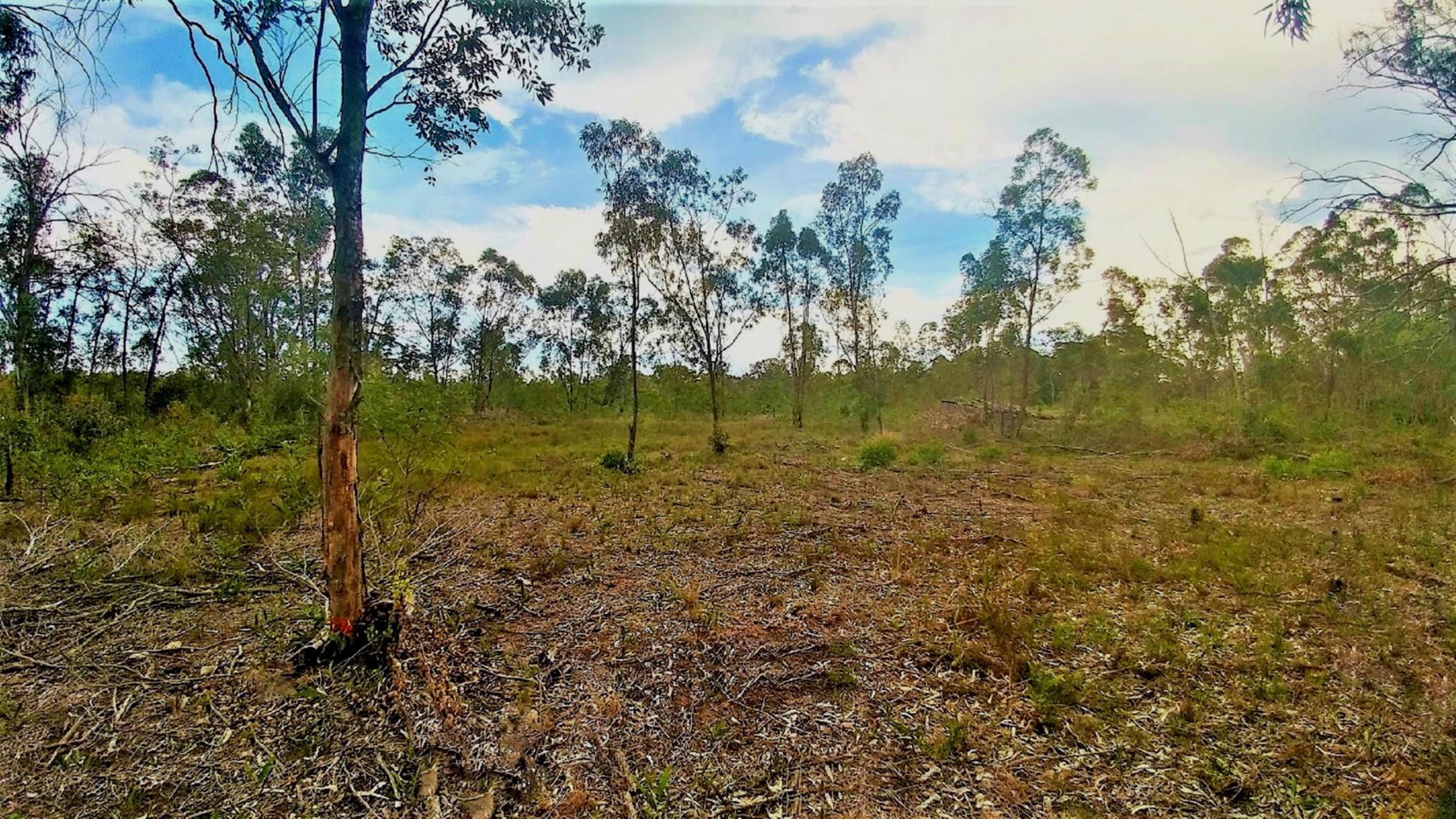 3.84 hectare farm vacant land for sale in Greenbushes
