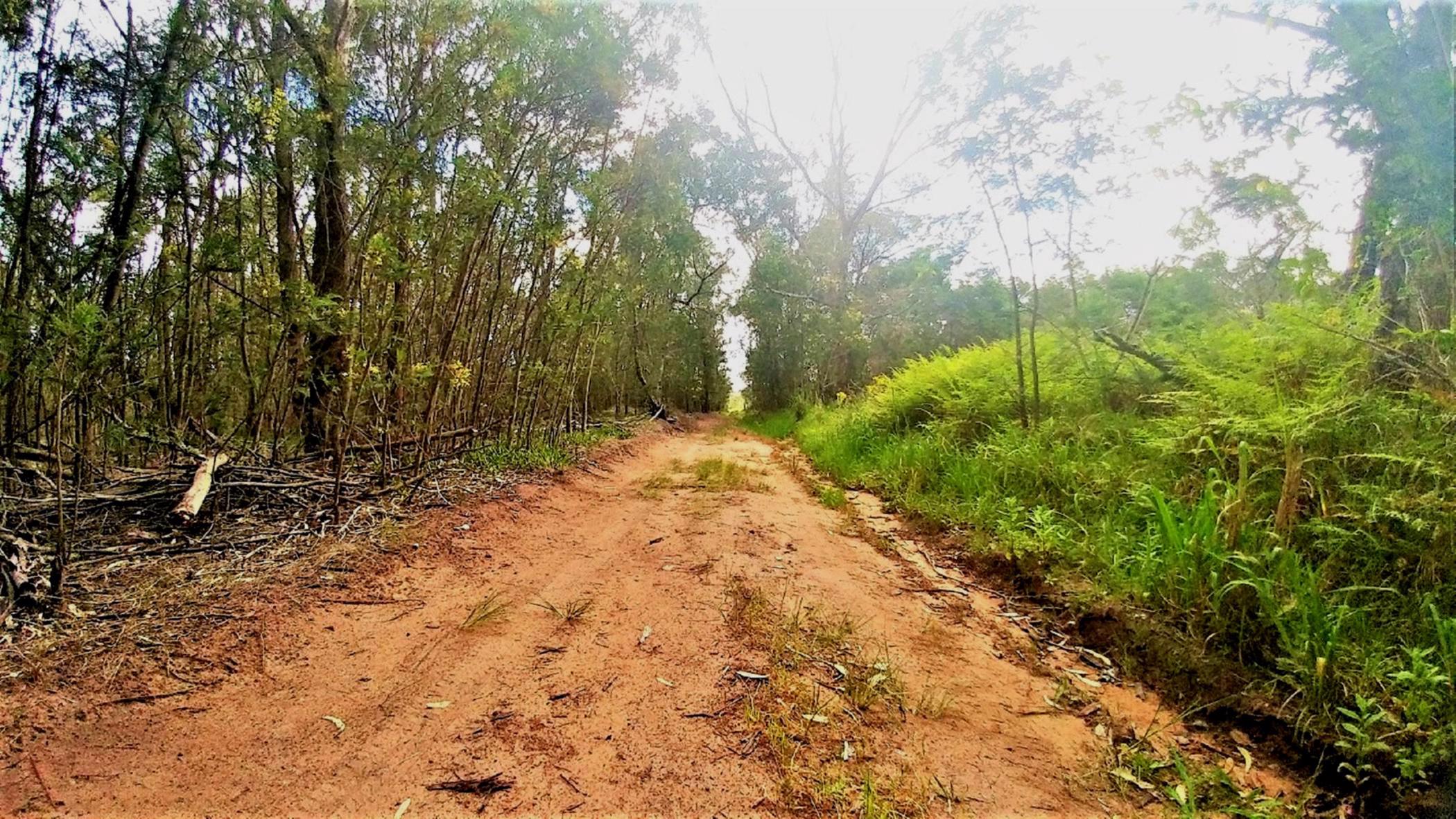 3.84 hectare Farm Vacant Land For Sale Greenbushes 1PLZ1439207