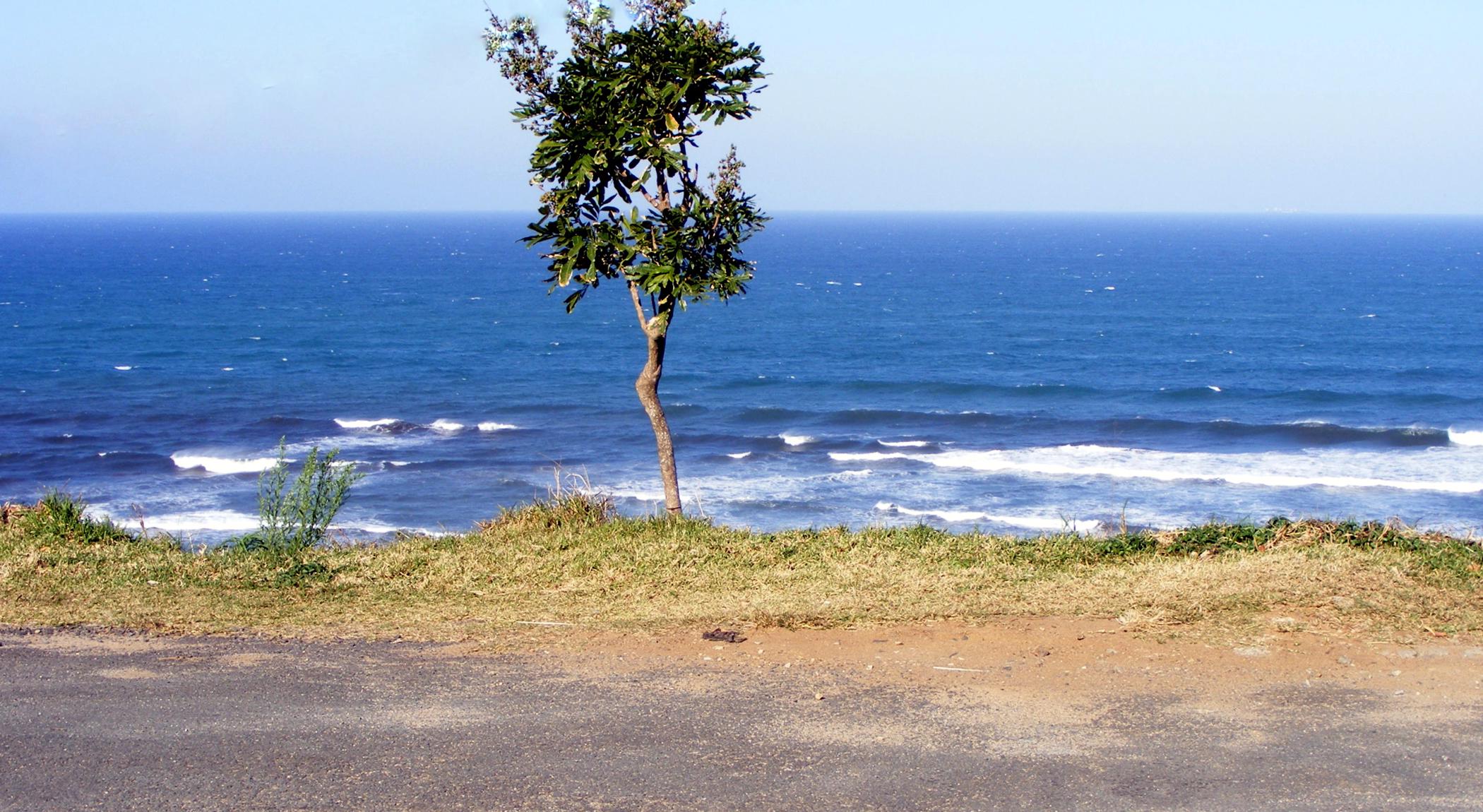 2227 m&sup2; residential vacant land for sale in Trafalgar
