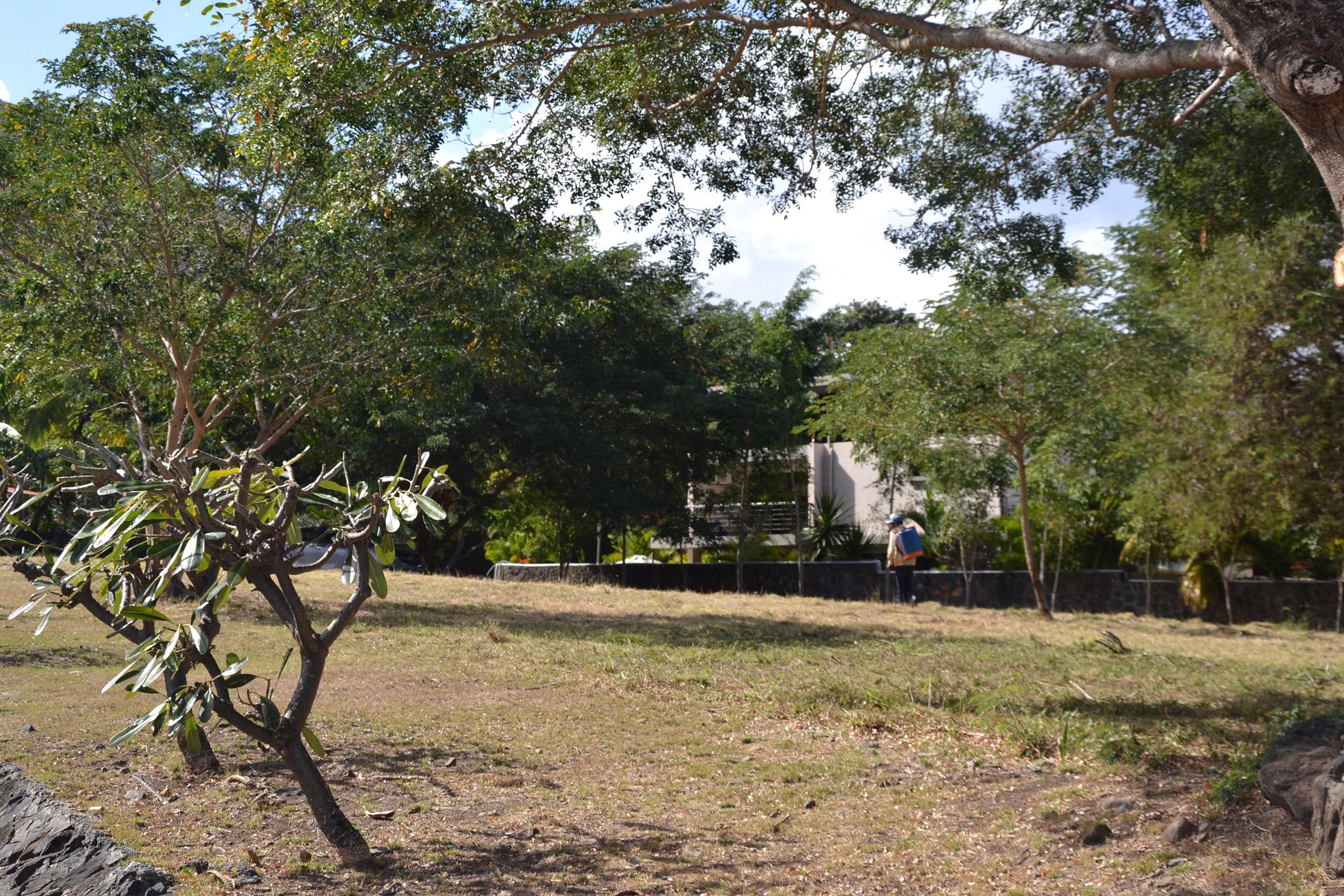 2210 m2 Vacant Land For Sale Black River (Mauritius) MUR1452004