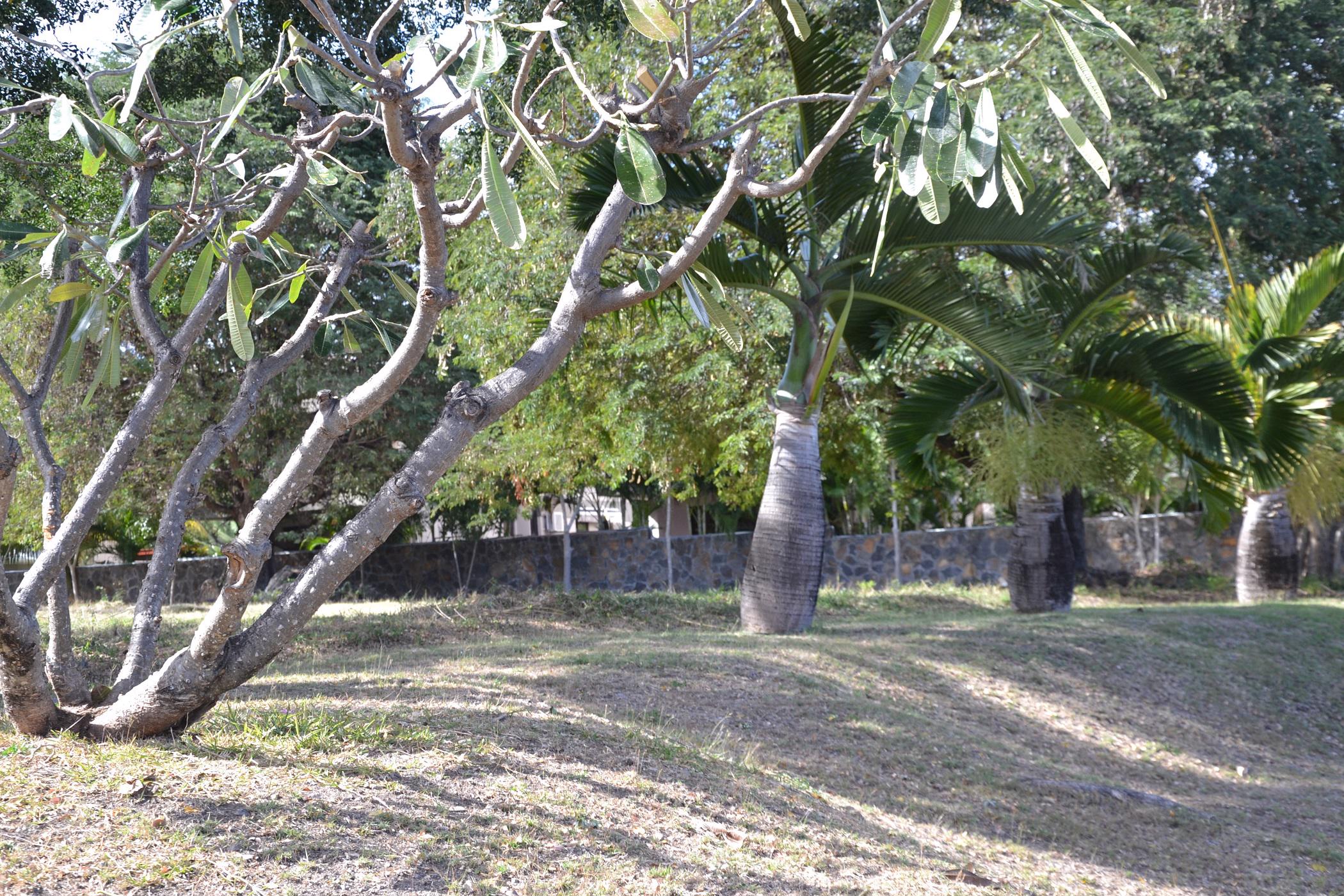 2210 m2 Vacant Land For Sale Black River (Mauritius) MUR1452004