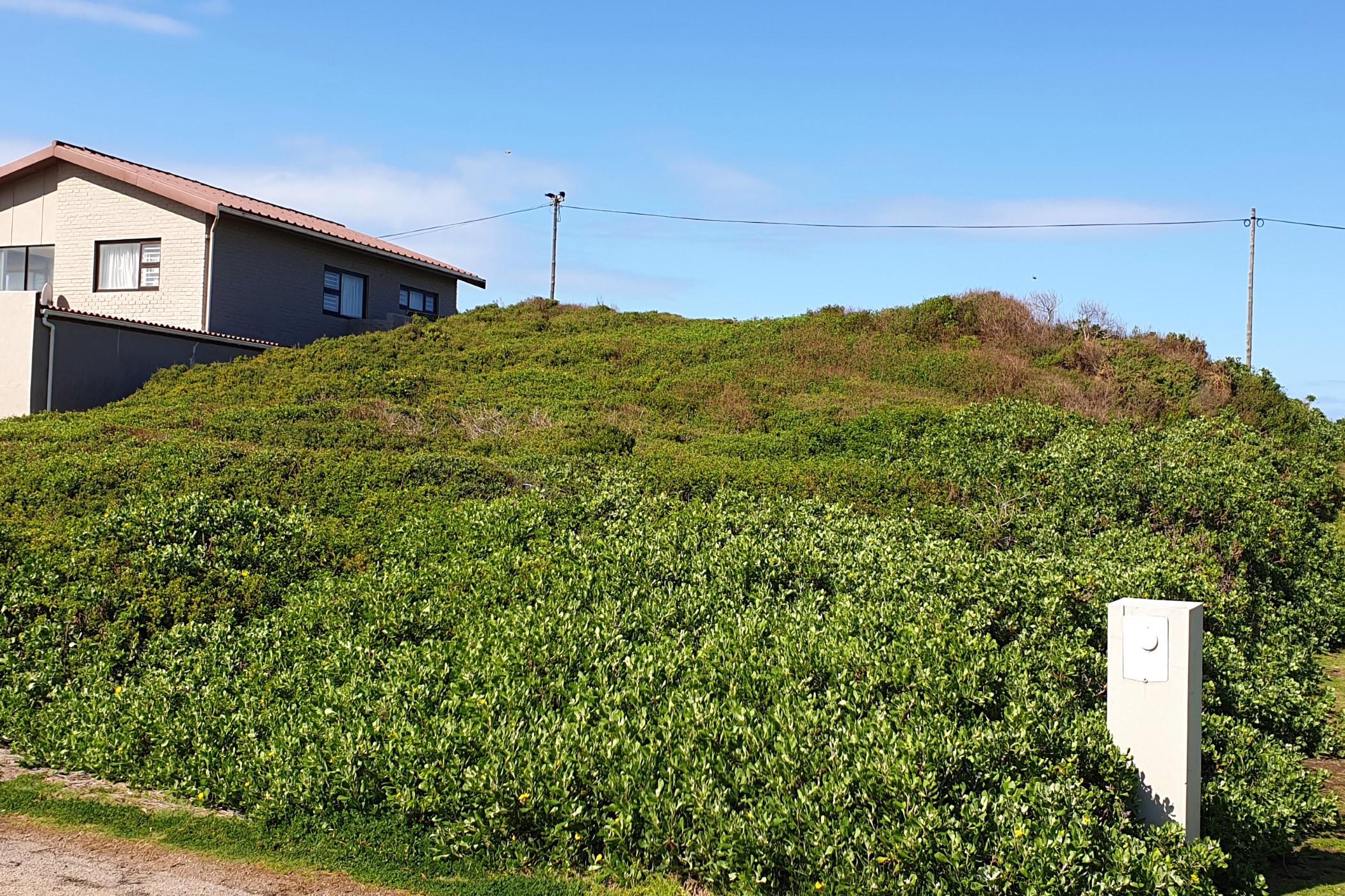 833 m2 Vacant Land For Sale Cape St Francis 1SA1454585 Pam